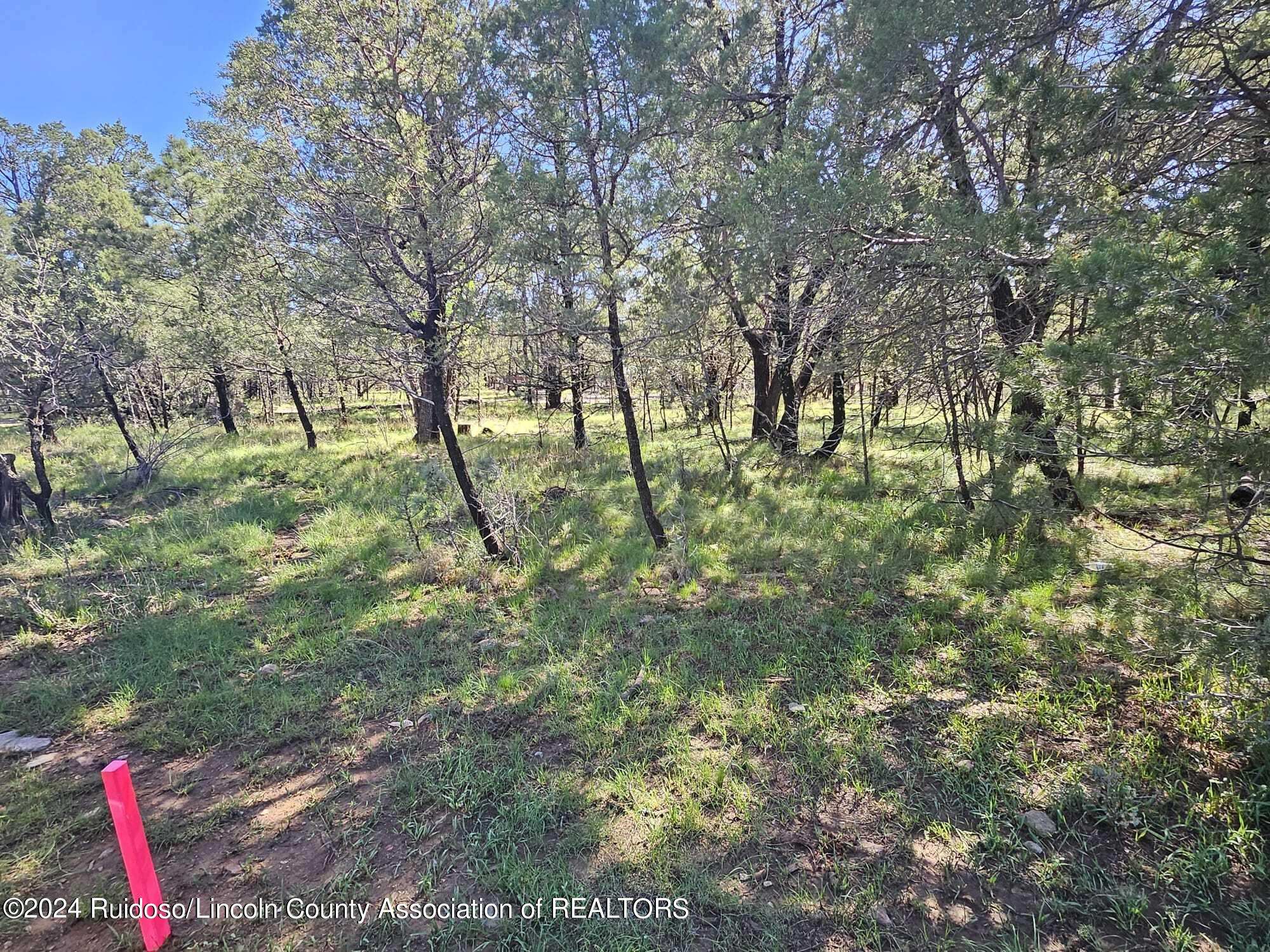 Lot 5A Homestead Heights Drive, Ruidoso, New Mexico image 12