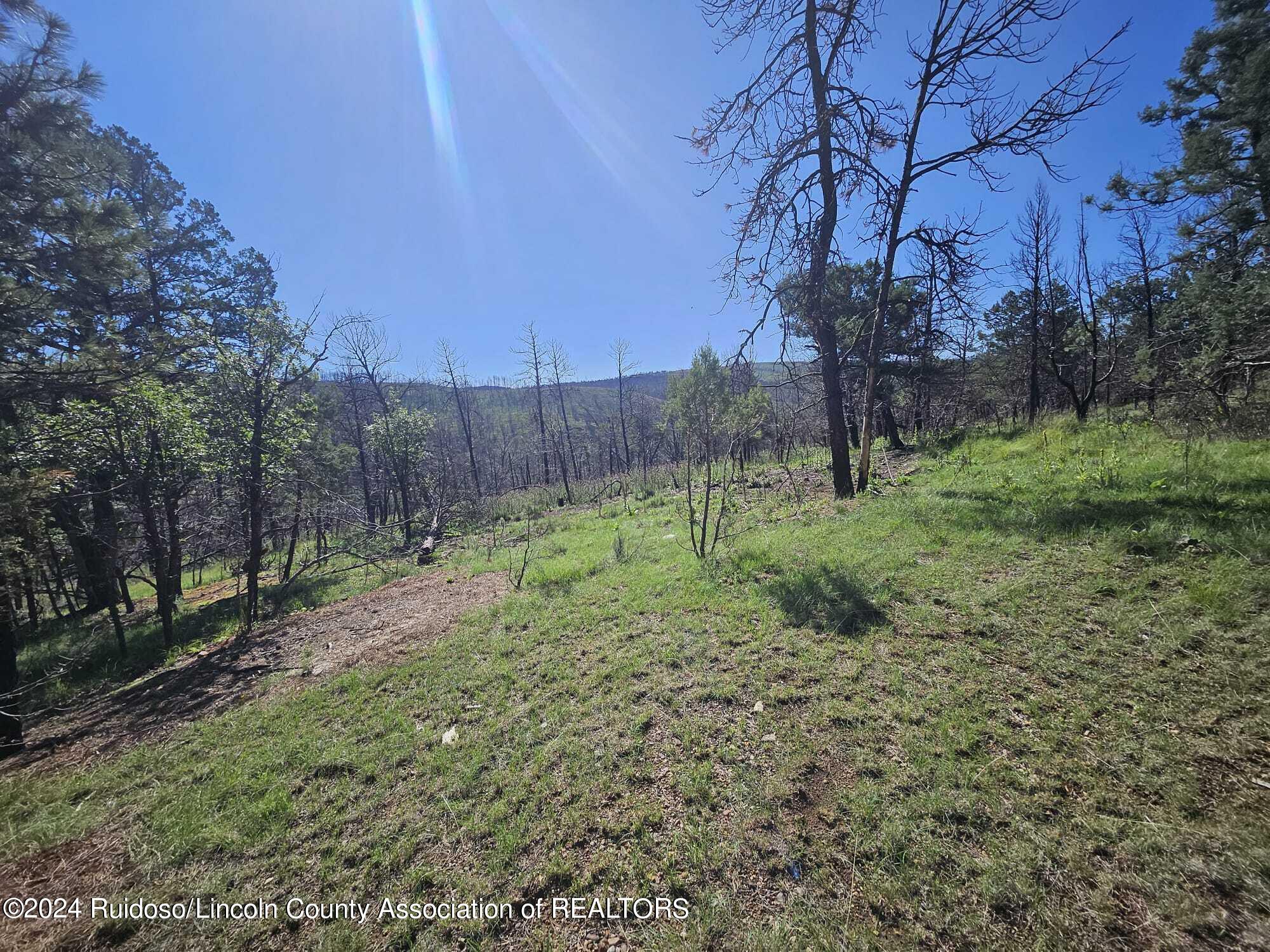 Lot 5A Homestead Heights Drive, Ruidoso, New Mexico image 8