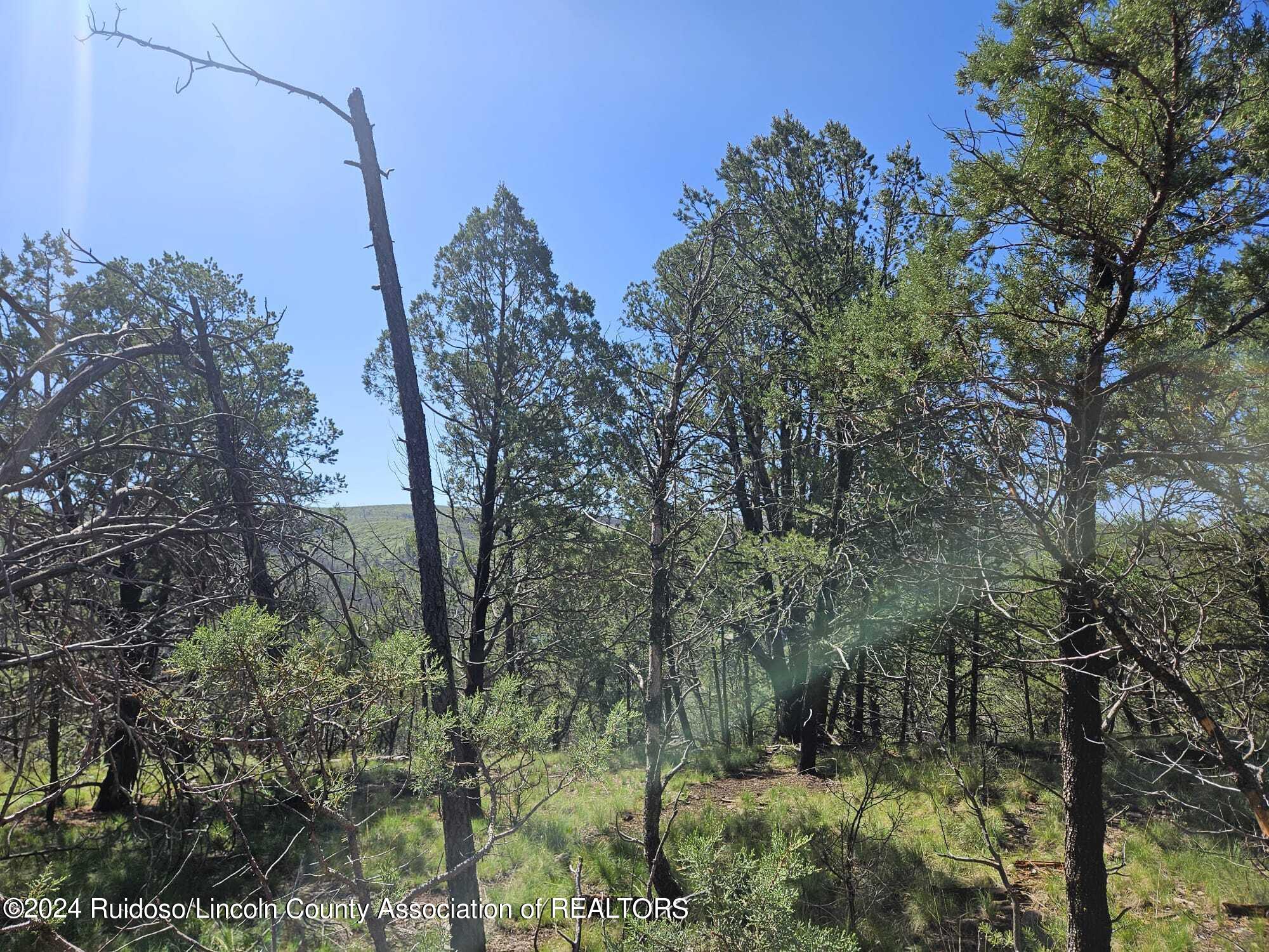 Lot 5A Homestead Heights Drive, Ruidoso, New Mexico image 16