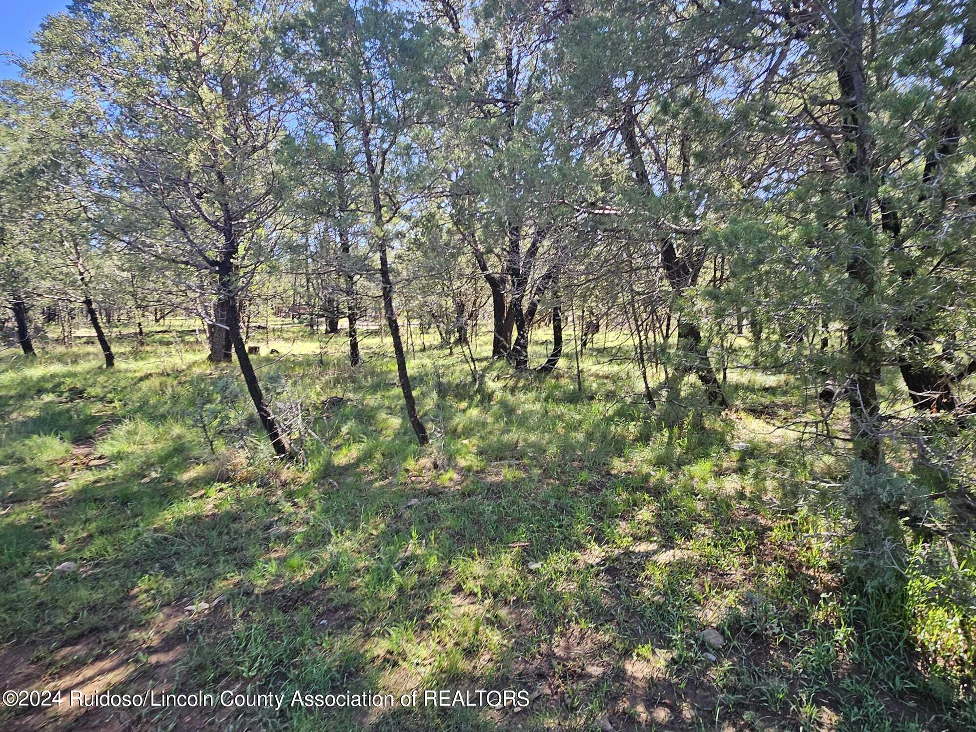 Lot 5A Homestead Heights Drive, Ruidoso, New Mexico image 13