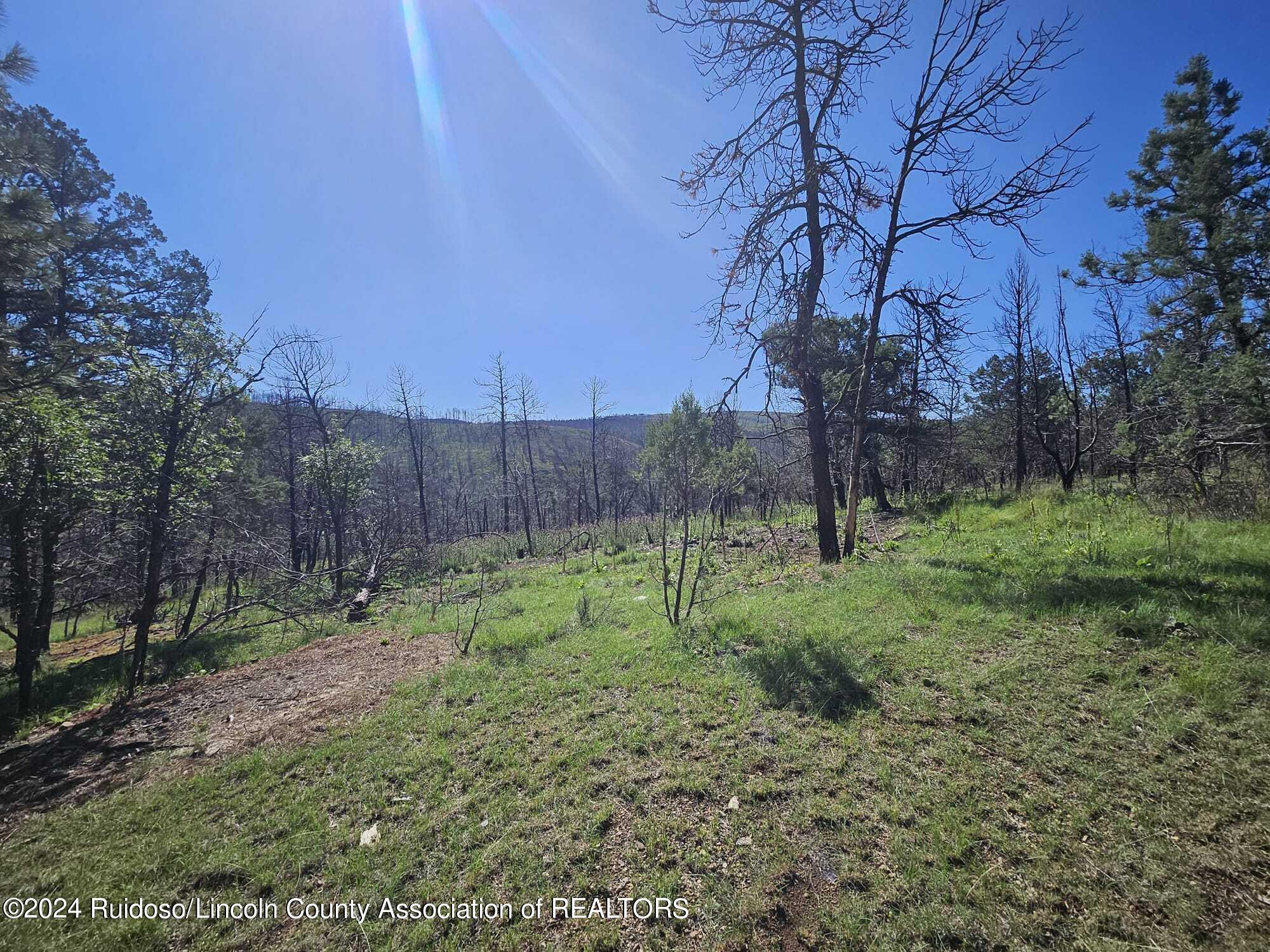 Lot 5A Homestead Heights Drive, Ruidoso, New Mexico image 4