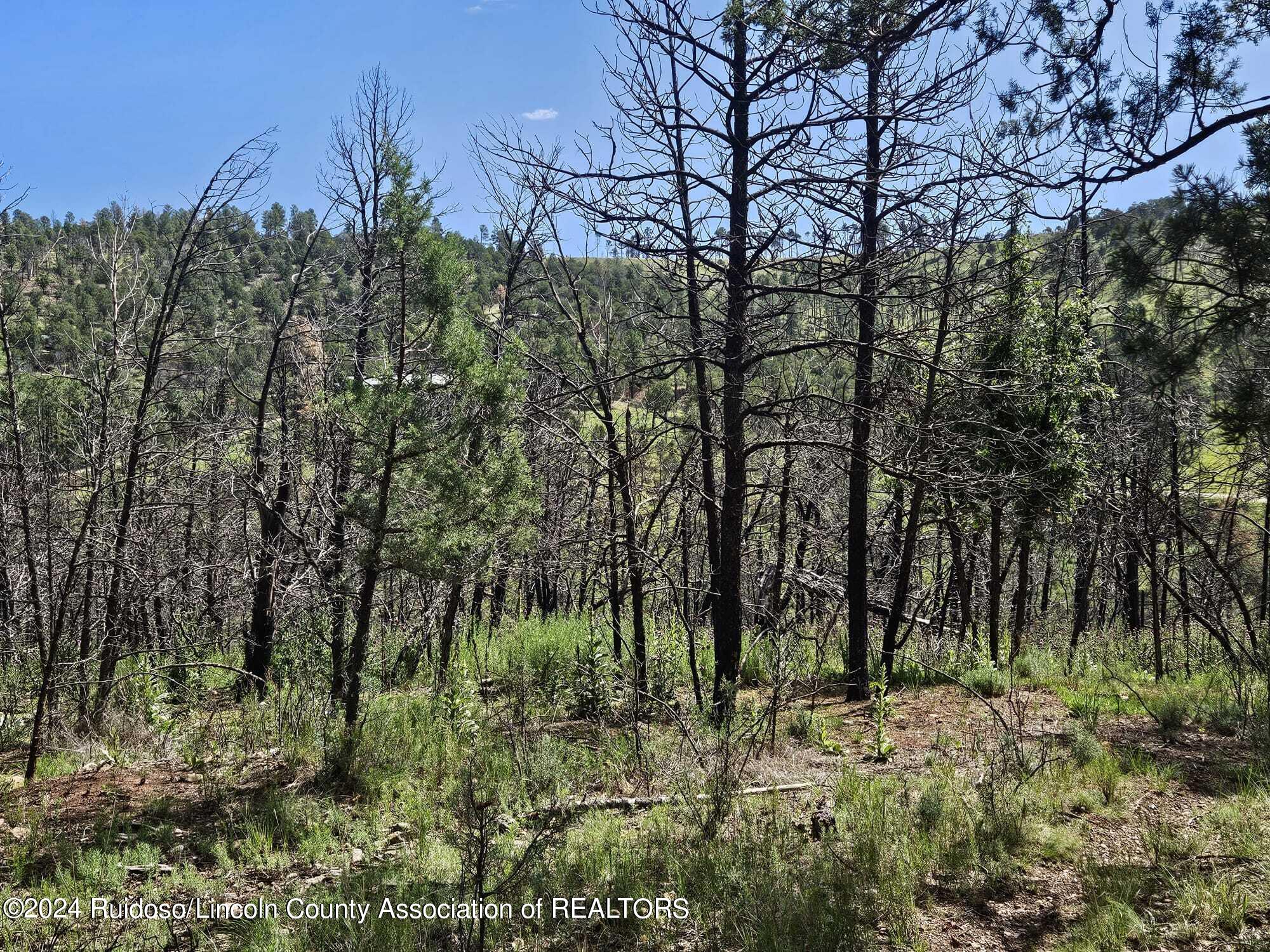 Lot 5A Homestead Heights Drive, Ruidoso, New Mexico image 28