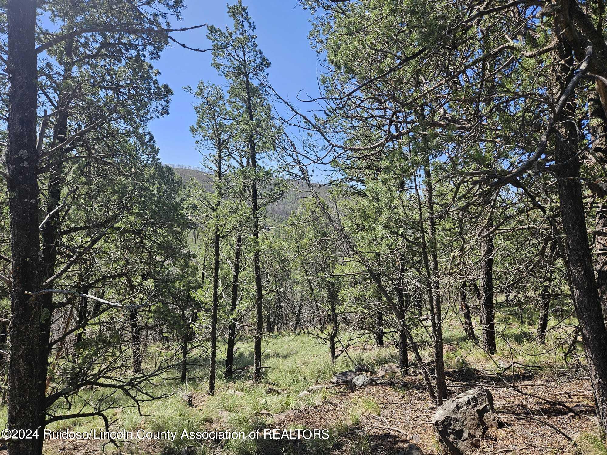 Lot 5A Homestead Heights Drive, Ruidoso, New Mexico image 18