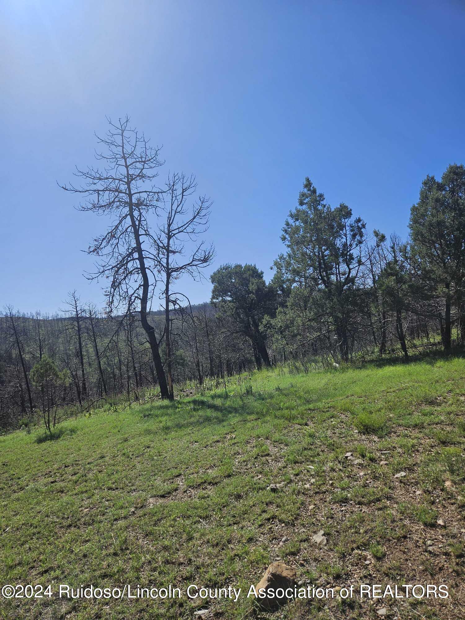 Lot 5A Homestead Heights Drive, Ruidoso, New Mexico image 2