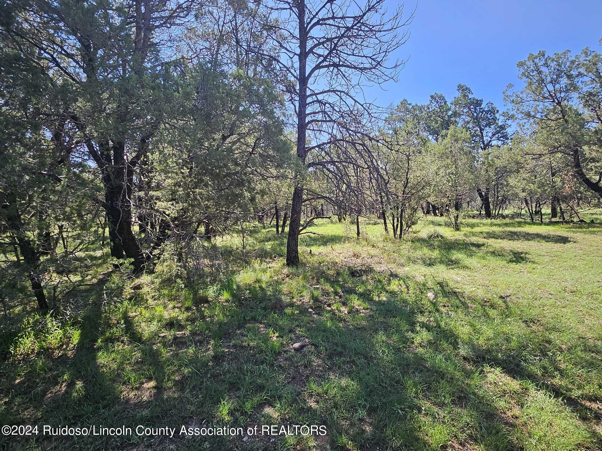 Lot 5A Homestead Heights Drive, Ruidoso, New Mexico image 11