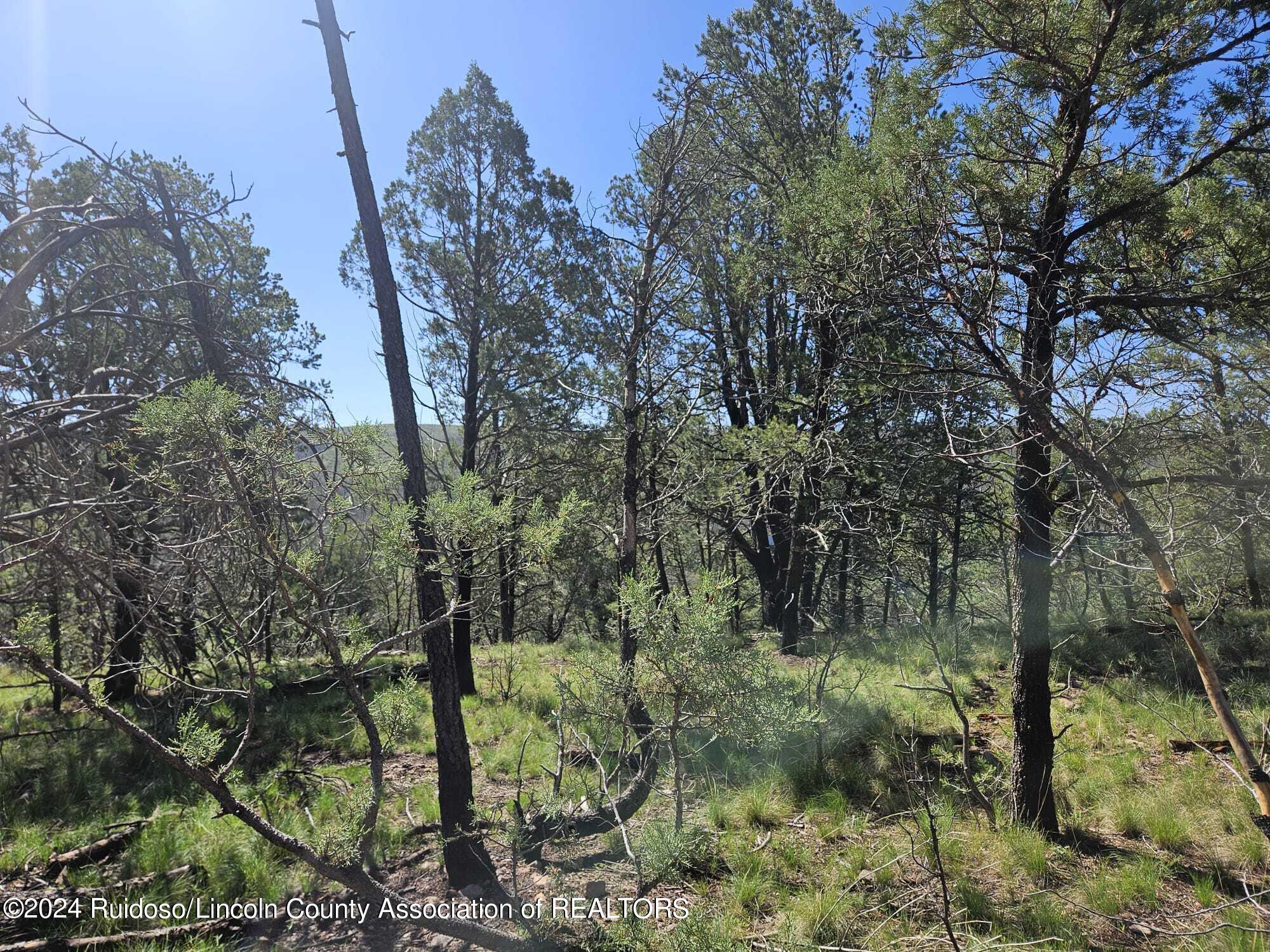 Lot 5A Homestead Heights Drive, Ruidoso, New Mexico image 15