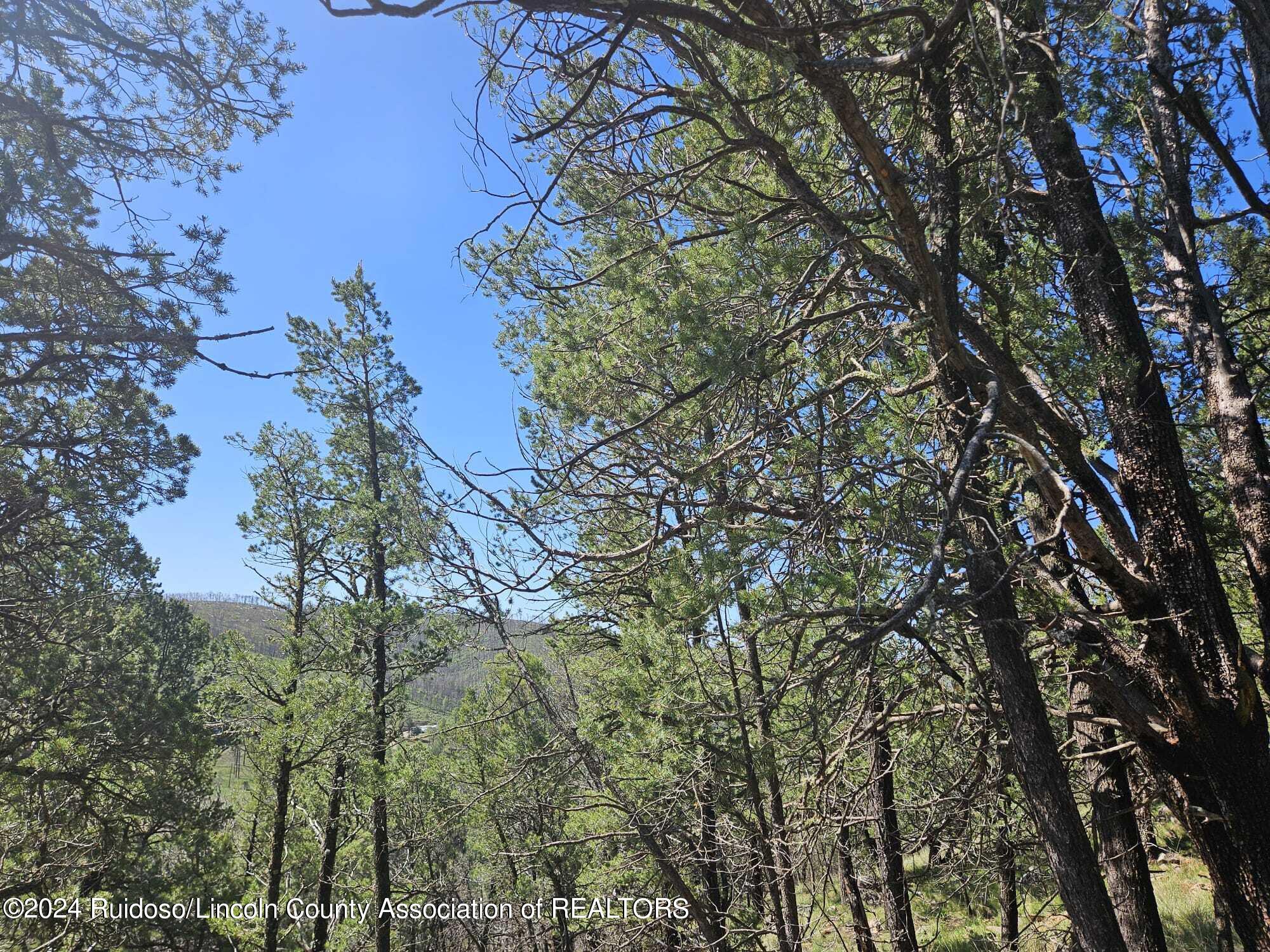 Lot 5A Homestead Heights Drive, Ruidoso, New Mexico image 19