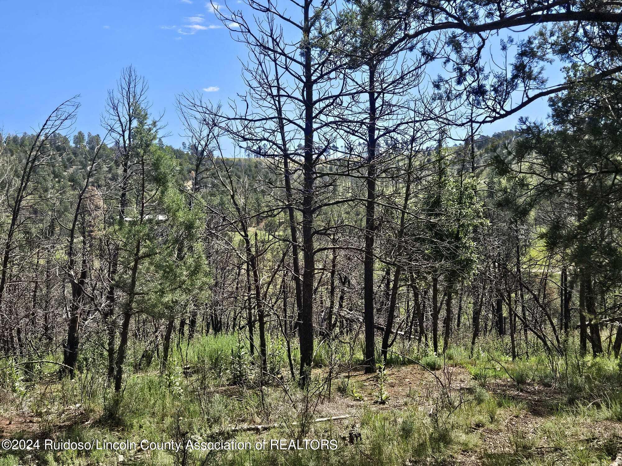 Lot 5A Homestead Heights Drive, Ruidoso, New Mexico image 27