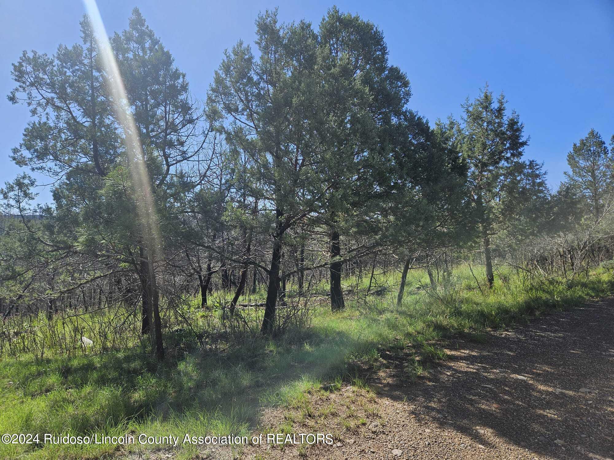 Lot 5A Homestead Heights Drive, Ruidoso, New Mexico image 3