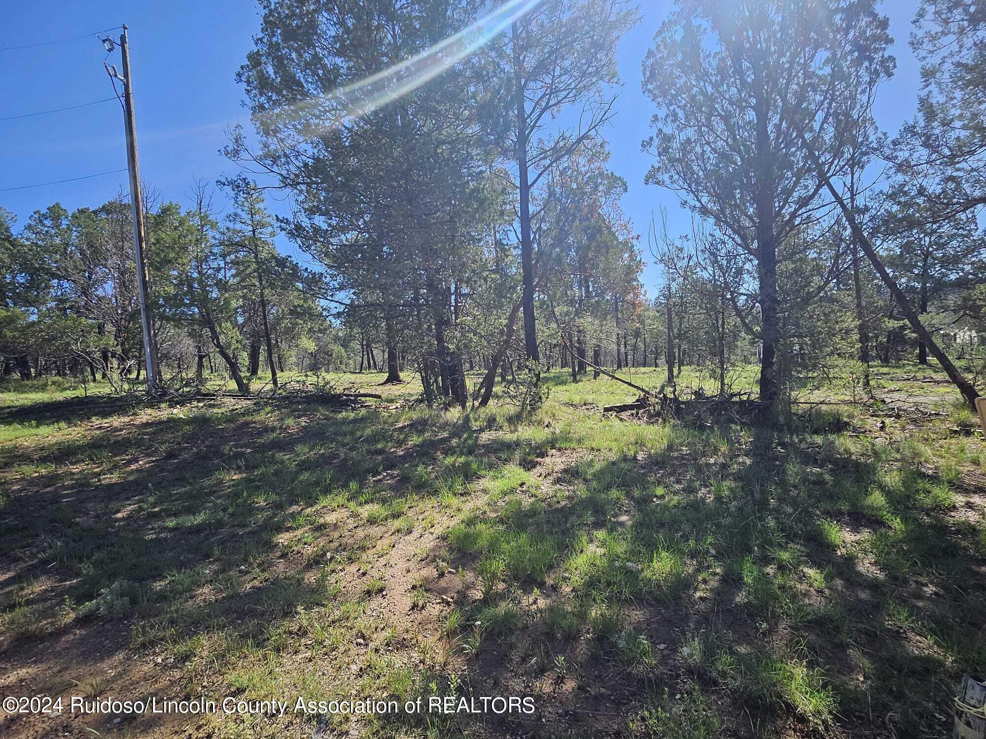 Lot 5A Homestead Heights Drive, Ruidoso, New Mexico image 14