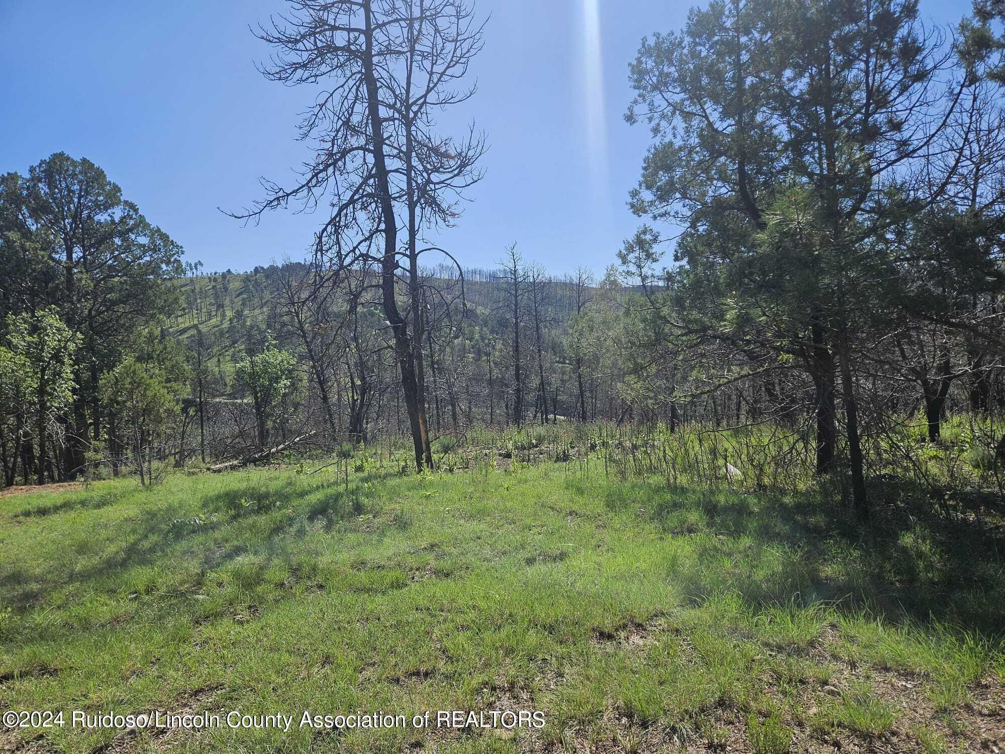 Lot 5A Homestead Heights Drive, Ruidoso, New Mexico image 1