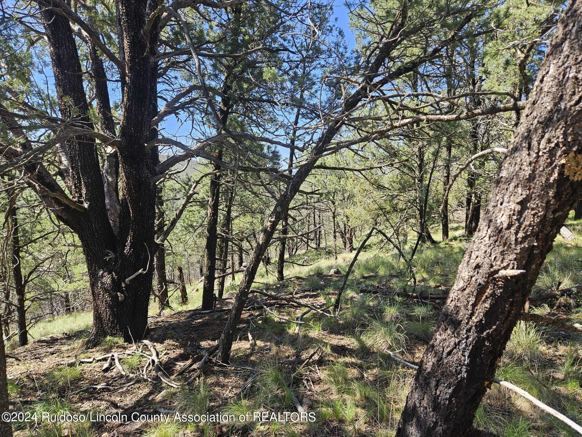 Lot 5A Homestead Heights Drive, Ruidoso, New Mexico image 20