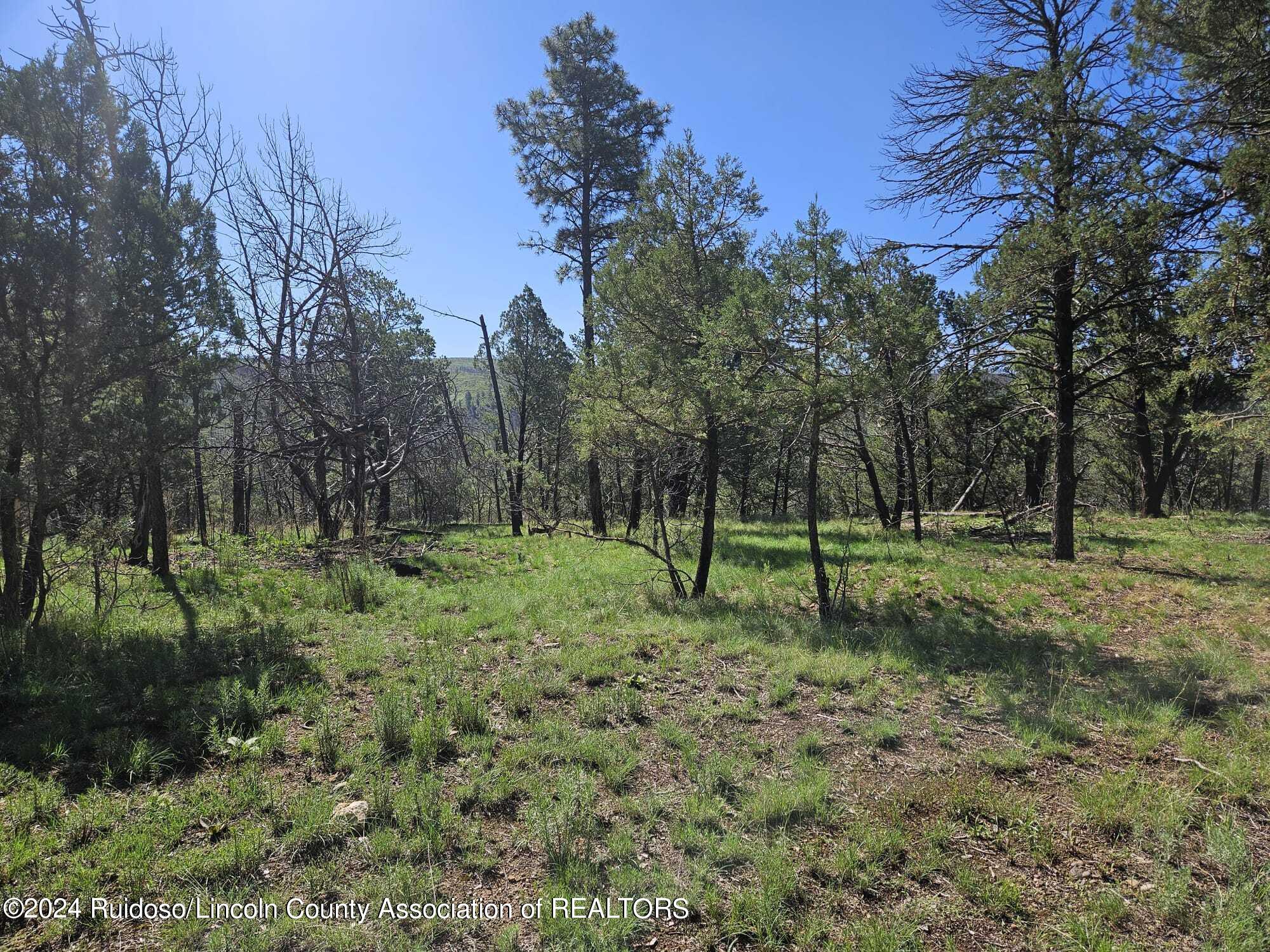 Lot 5A Homestead Heights Drive, Ruidoso, New Mexico image 22