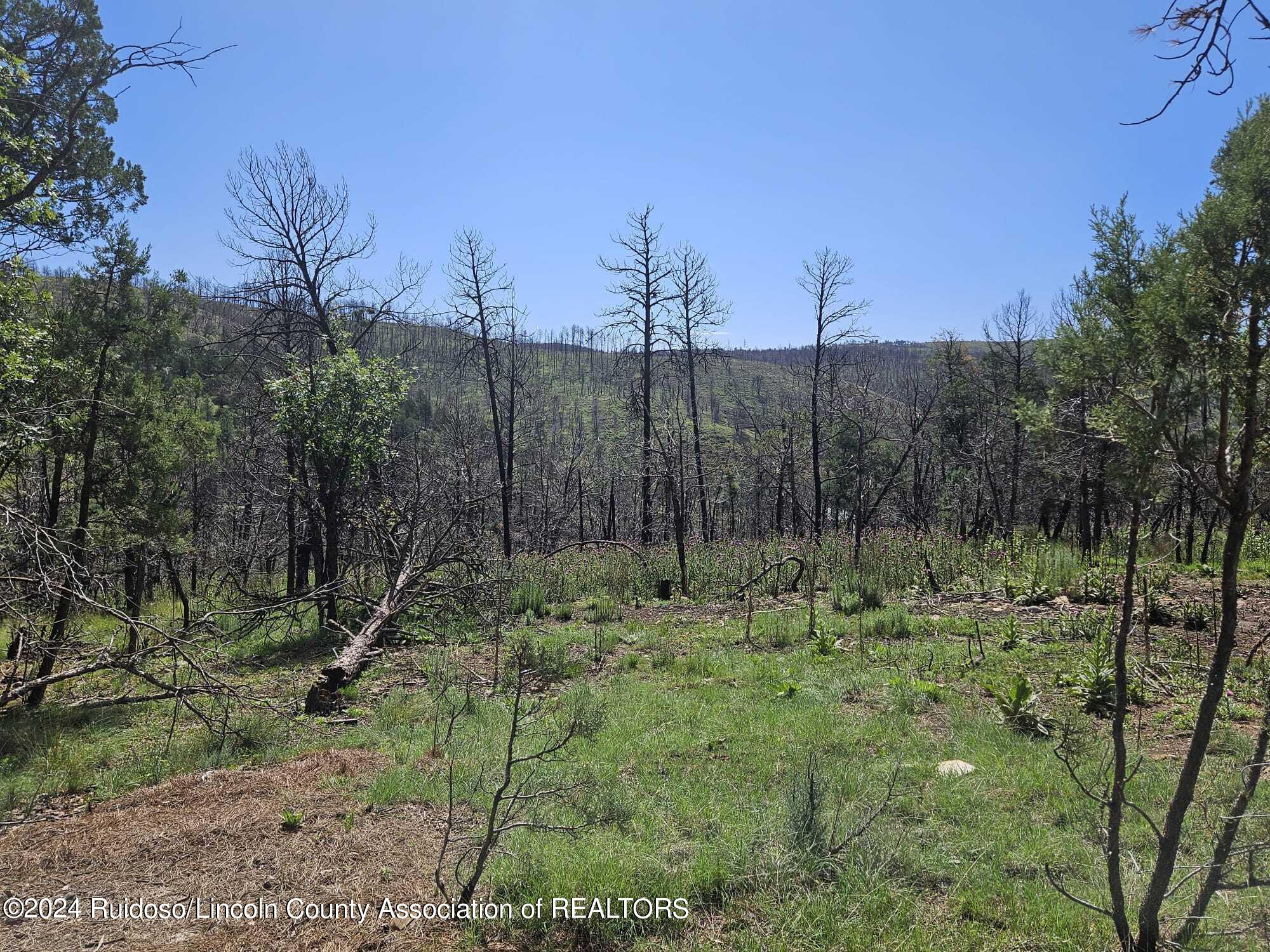 Lot 5A Homestead Heights Drive, Ruidoso, New Mexico image 24