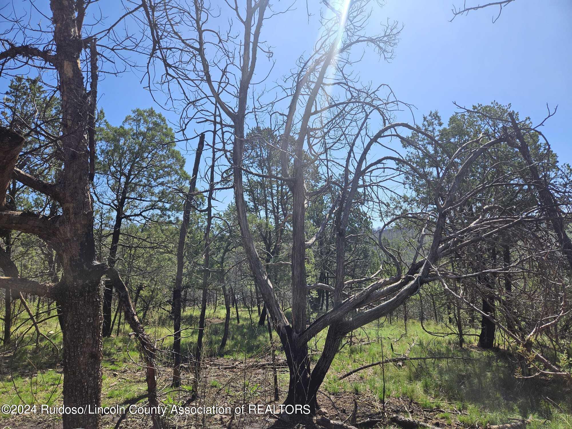 Lot 5A Homestead Heights Drive, Ruidoso, New Mexico image 17