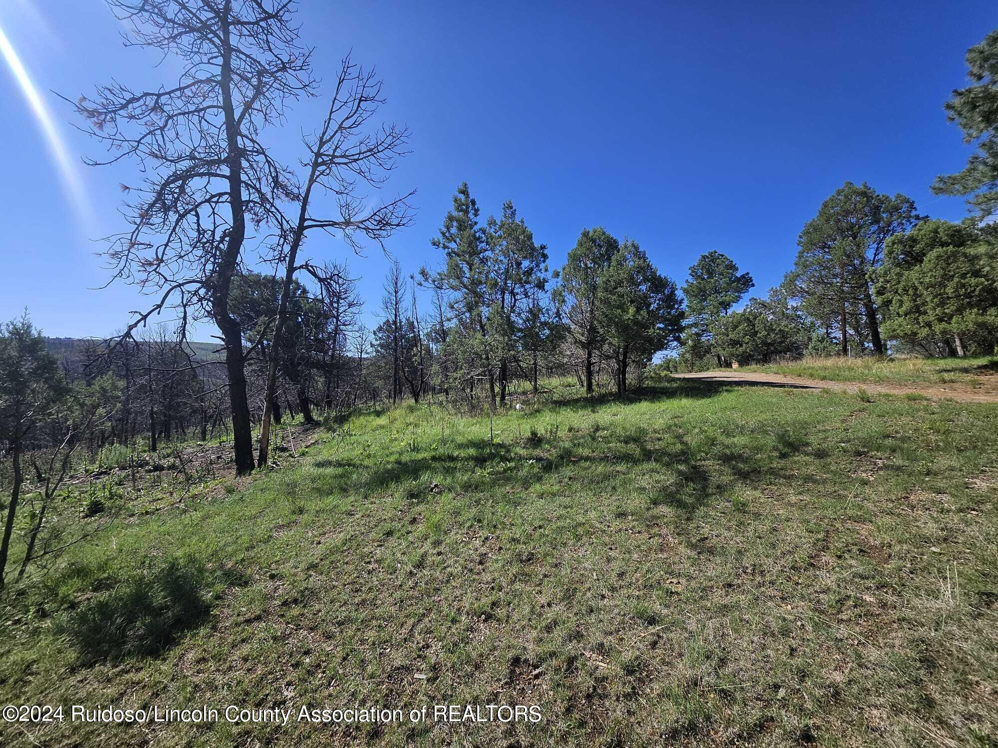 Lot 5A Homestead Heights Drive, Ruidoso, New Mexico image 6