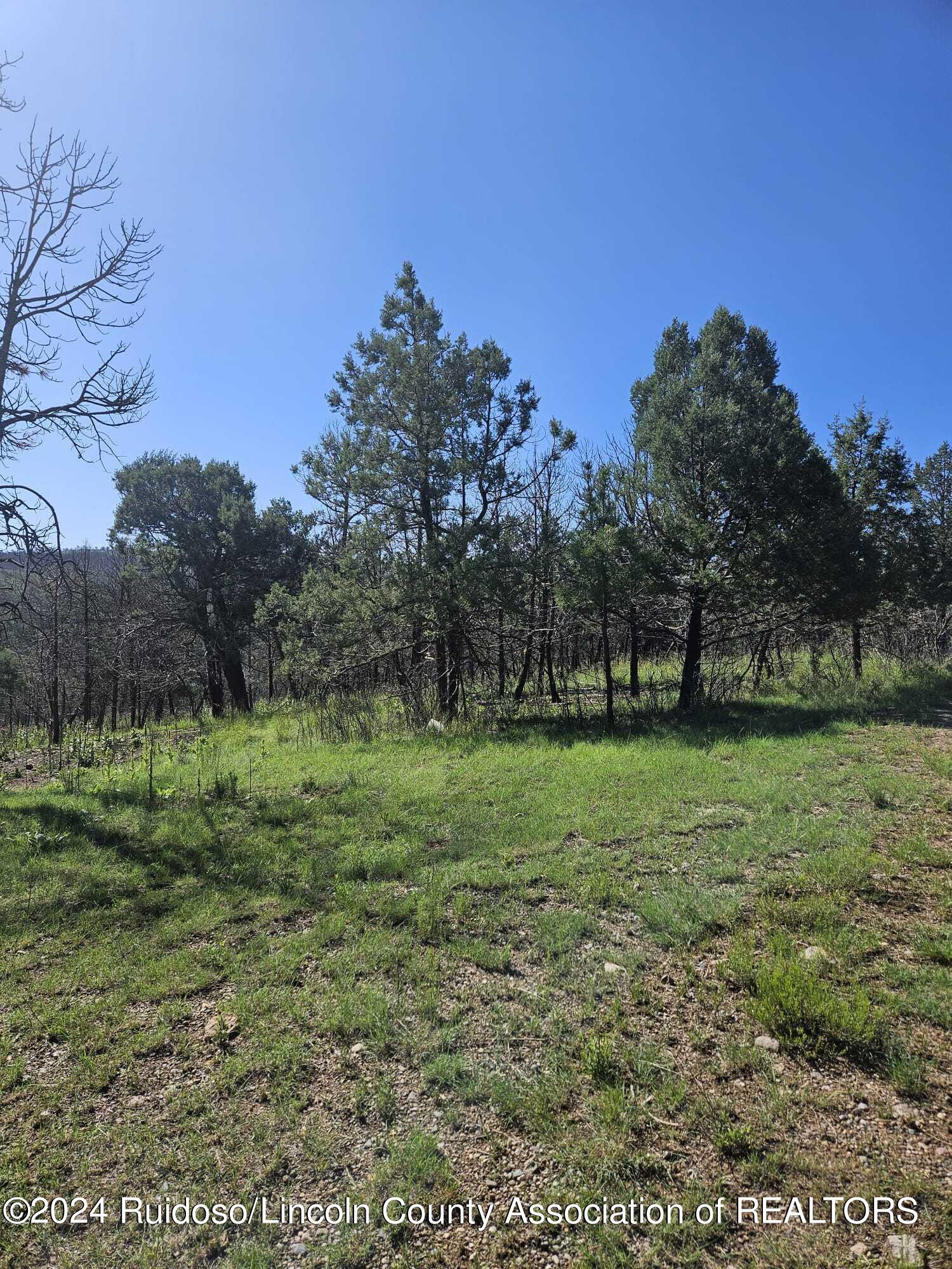 Lot 5A Homestead Heights Drive, Ruidoso, New Mexico image 5