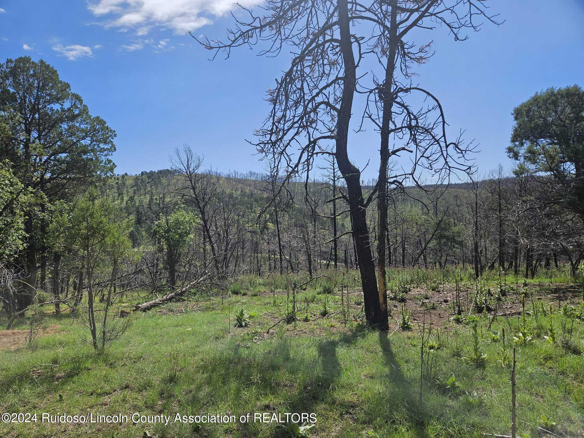 Lot 5A Homestead Heights Drive, Ruidoso, New Mexico image 23