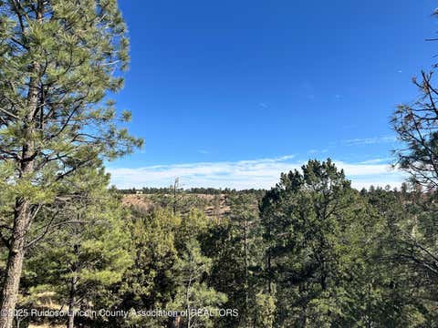 Vacant Land For Sale - T15B Partridge Ct.<br/> Alto, NM 88312