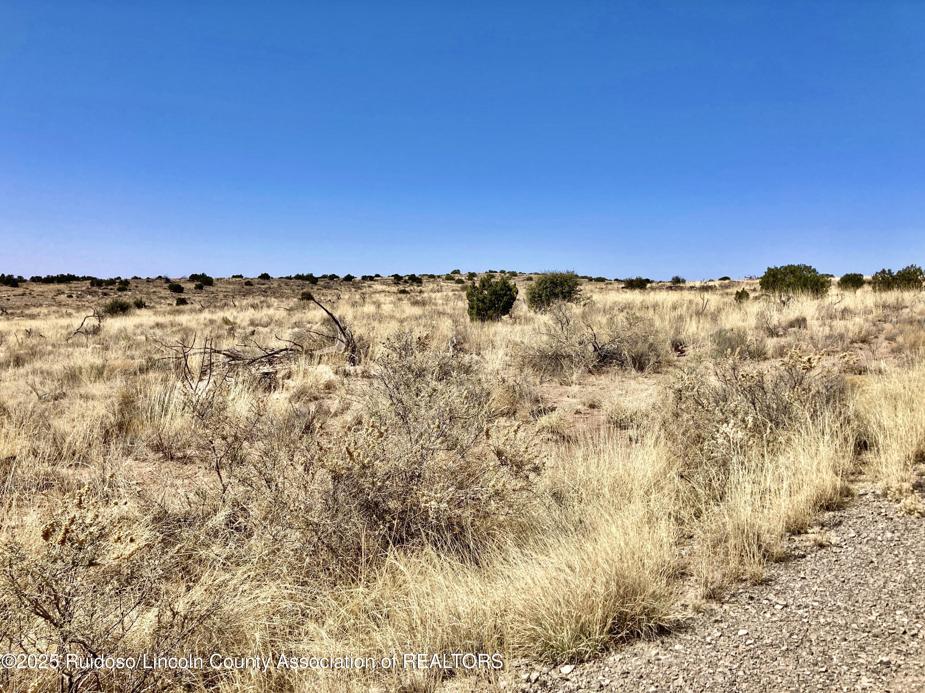 Lot 207 Tin Cup Road, Ancho, New Mexico image 4