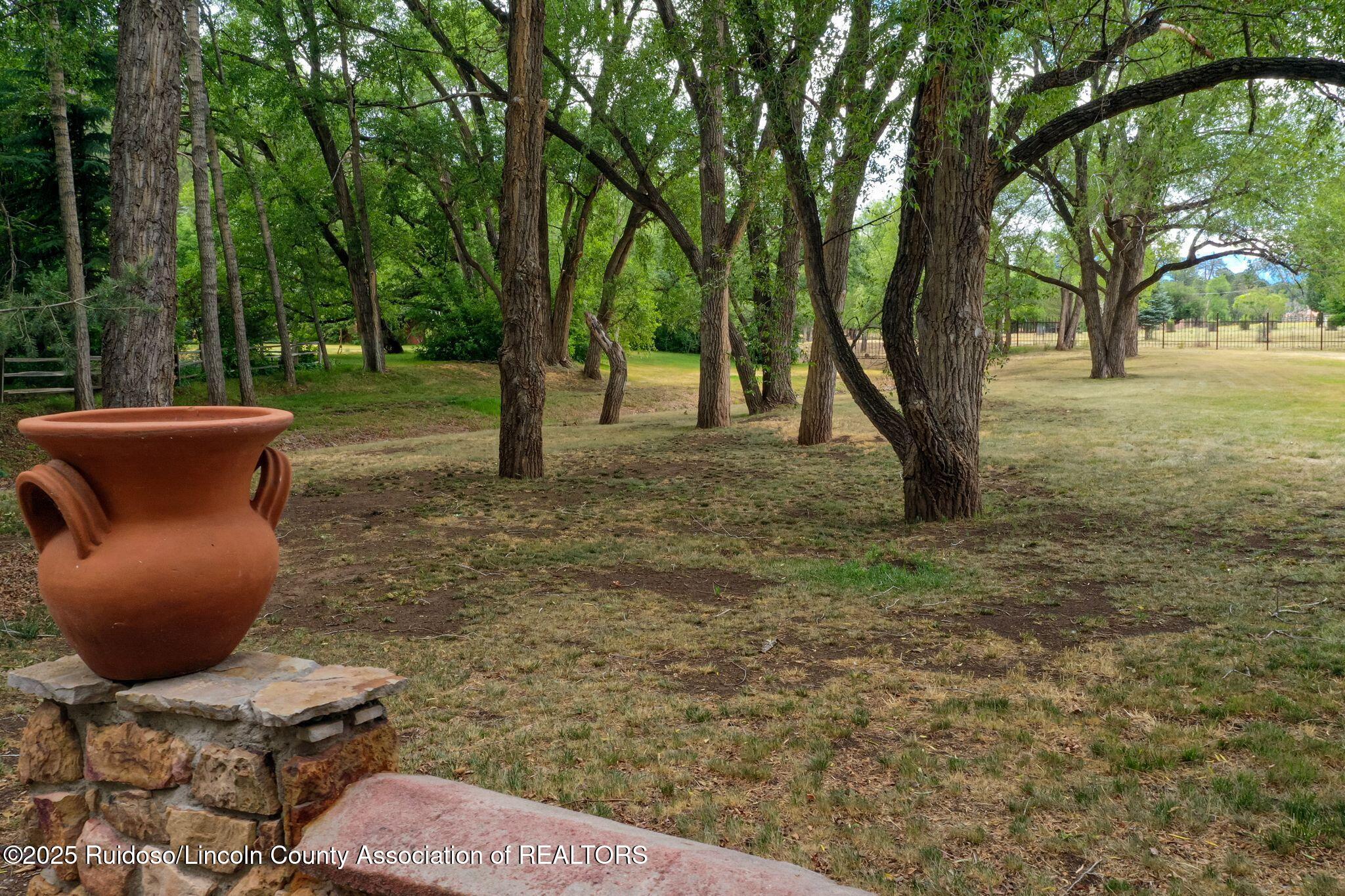 218 Eagle Creek Canyon Road, Ruidoso, New Mexico image 50