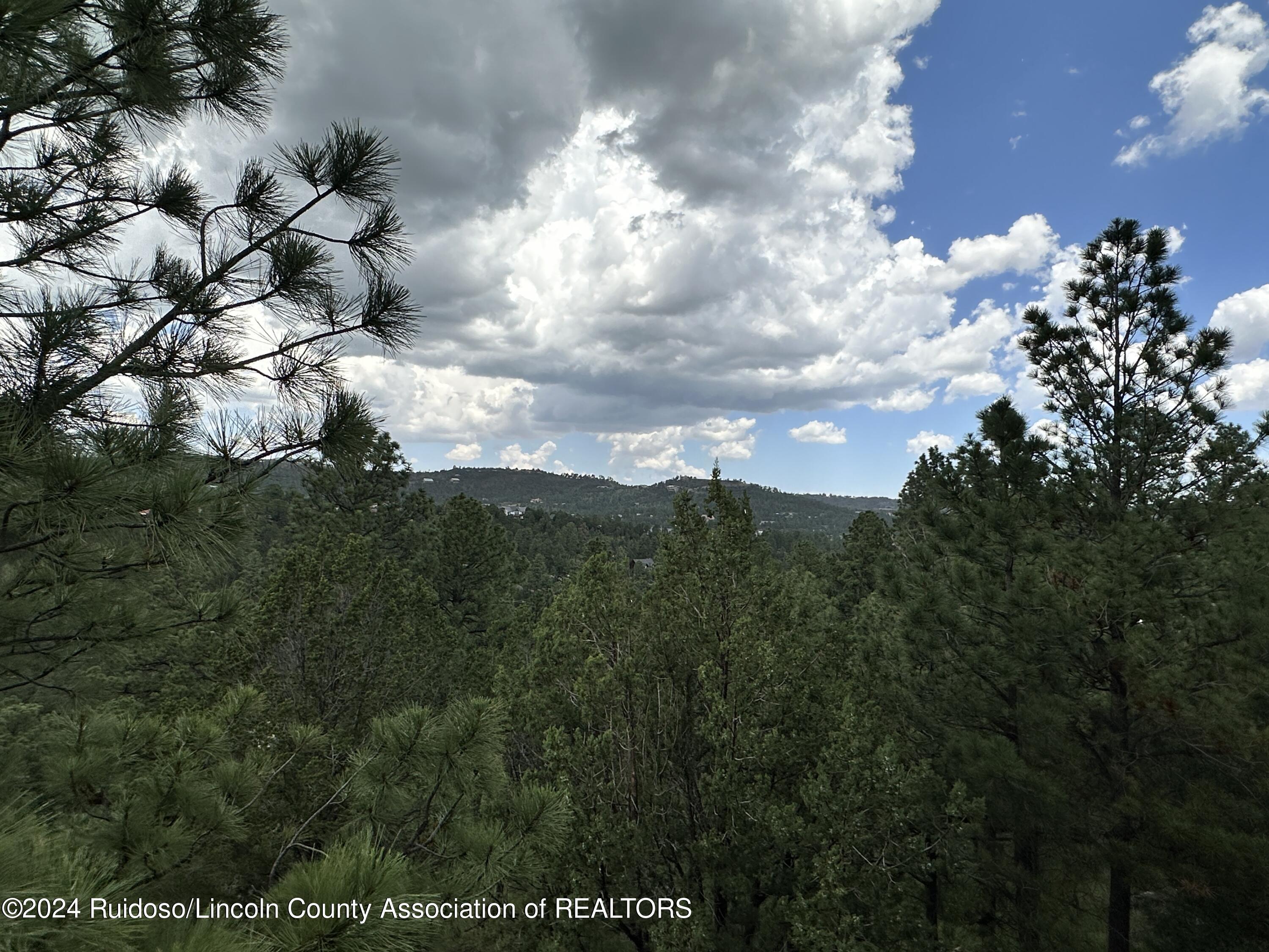 239 Timberline Drive Drive, Ruidoso, New Mexico image 8