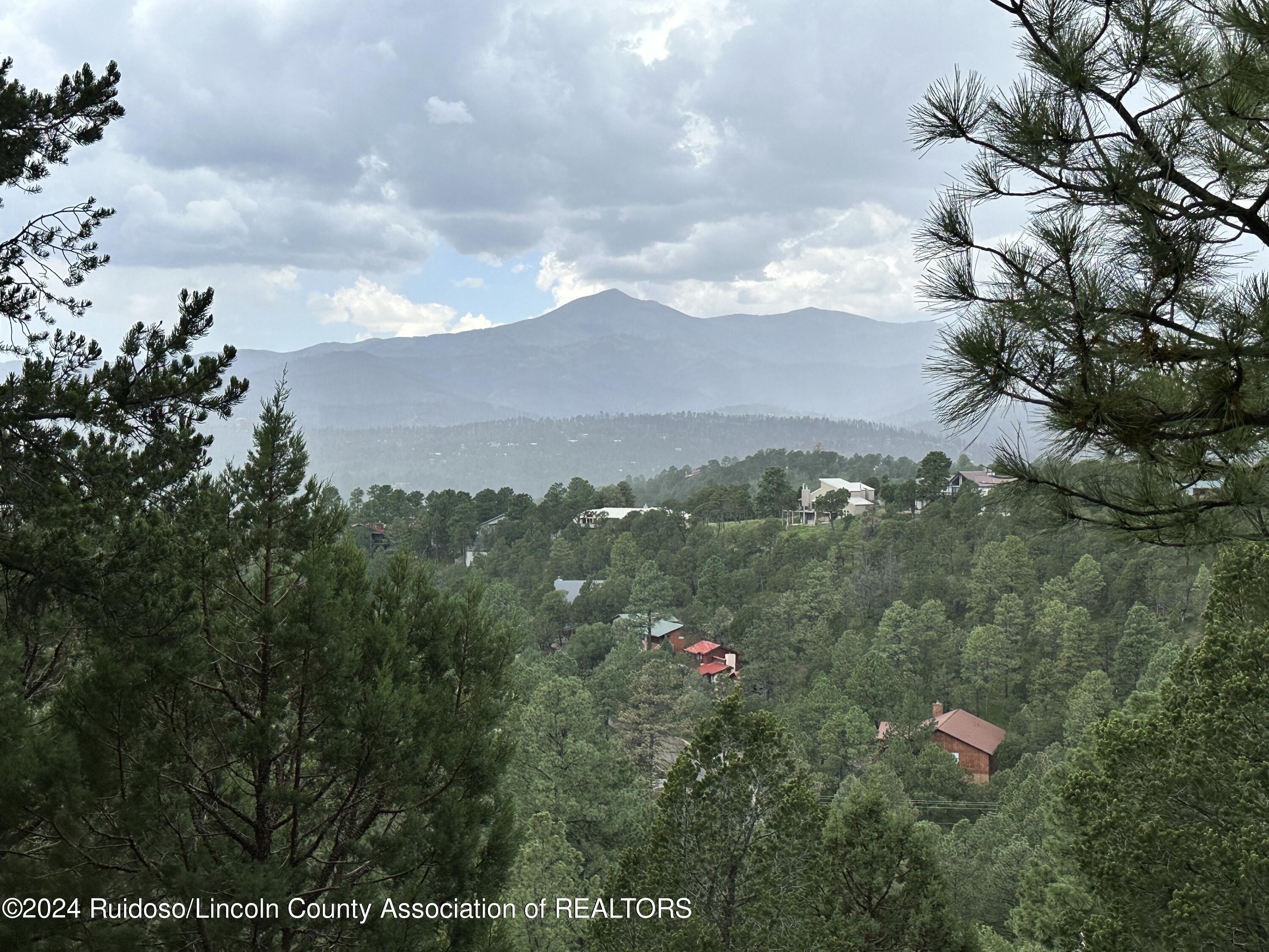 239 Timberline Drive Drive, Ruidoso, New Mexico image 40