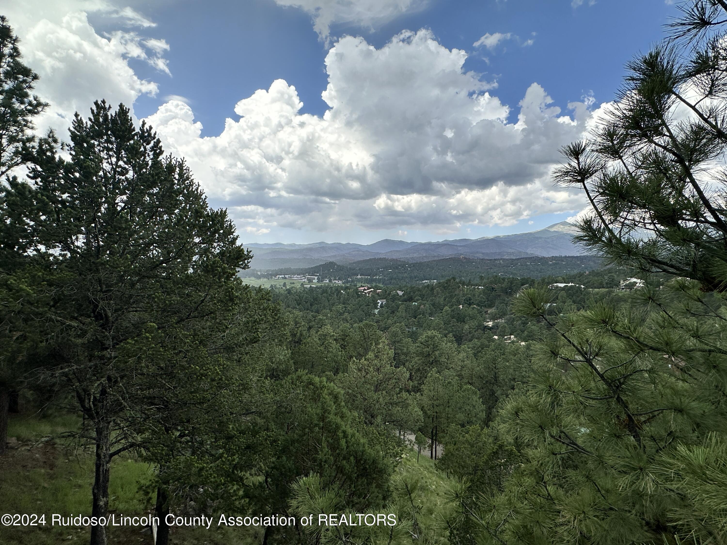 239 Timberline Drive Drive, Ruidoso, New Mexico image 6