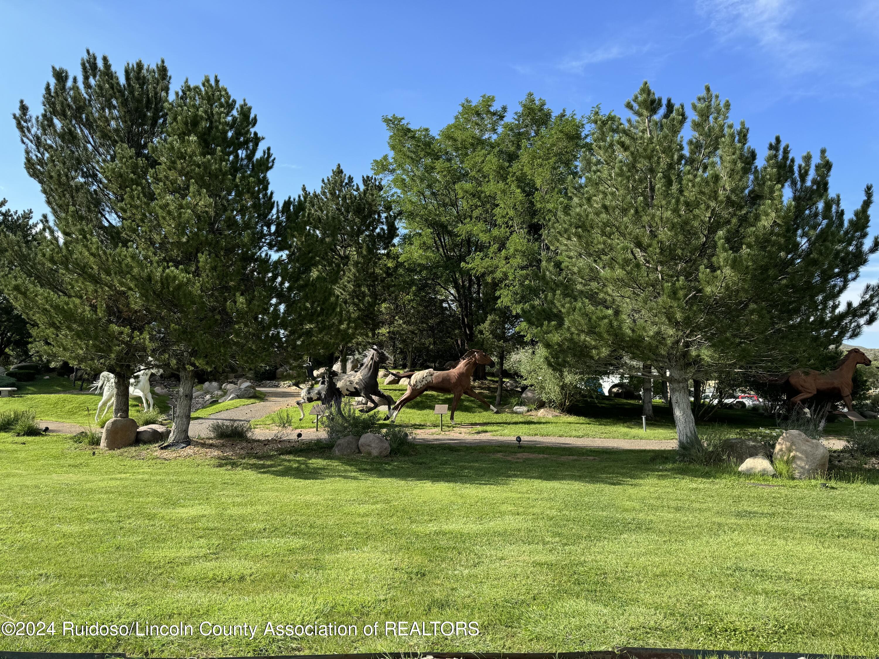 26303 Us Highway 70 #210, Ruidoso Downs, New Mexico image 16