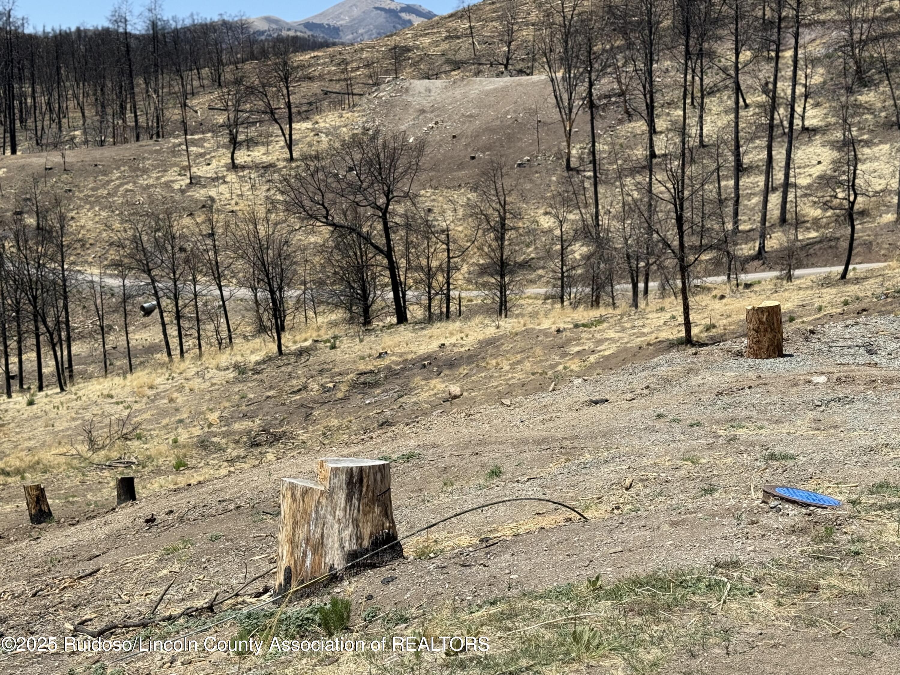 107 Whitney Drive, Ruidoso, New Mexico image 18