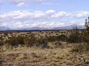 L206 Tin Cup Road, Ancho, New Mexico image 1