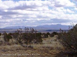 L206 Tin Cup Road, Ancho, New Mexico image 3