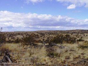 L206 Tin Cup Road, Ancho, New Mexico image 4