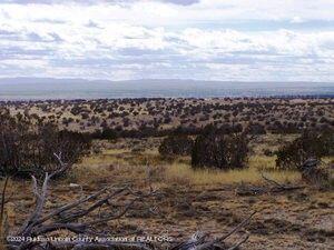 L206 Tin Cup Road, Ancho, New Mexico image 2