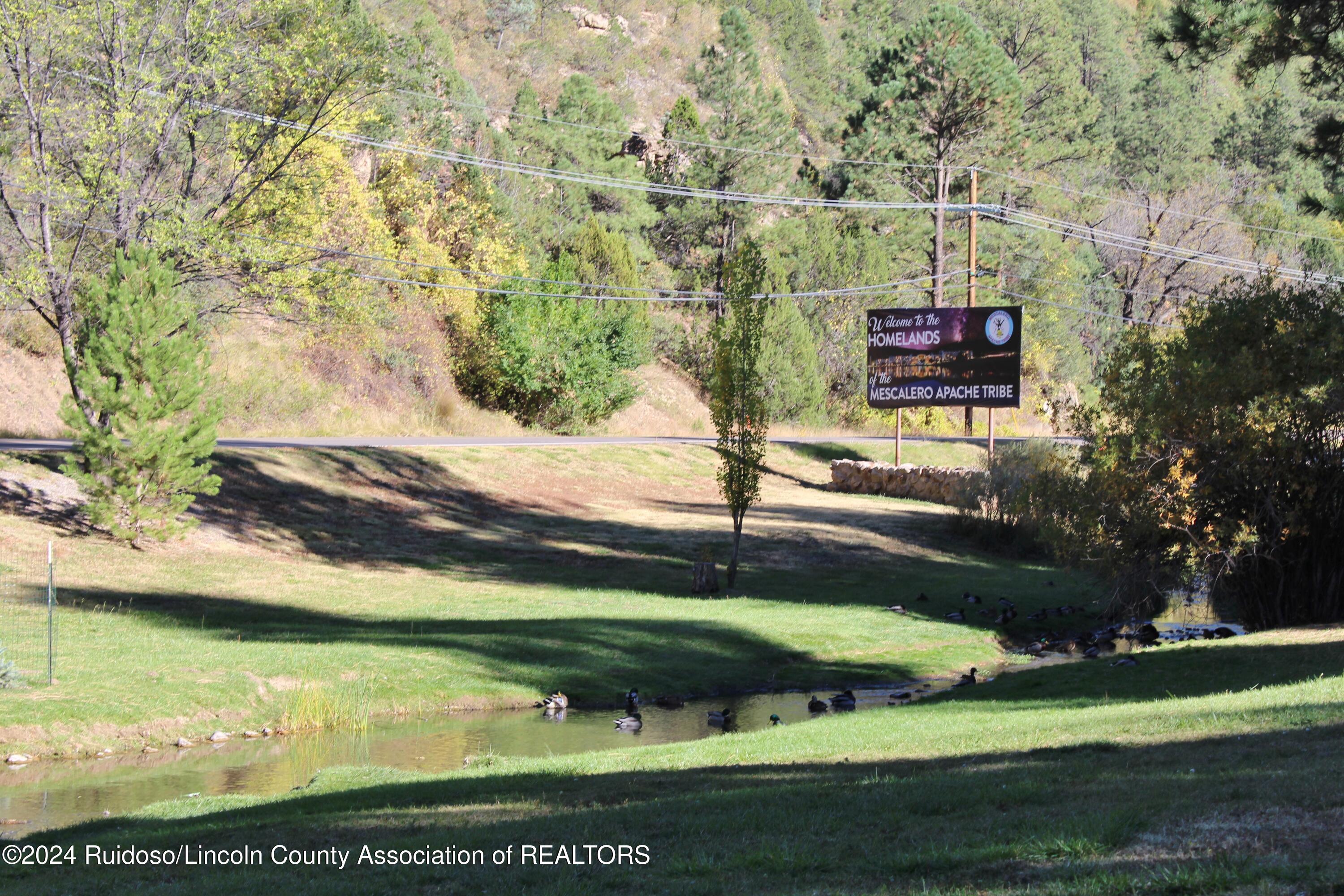 904 Carrizo Canyon Rd #111, Ruidoso, New Mexico image 2