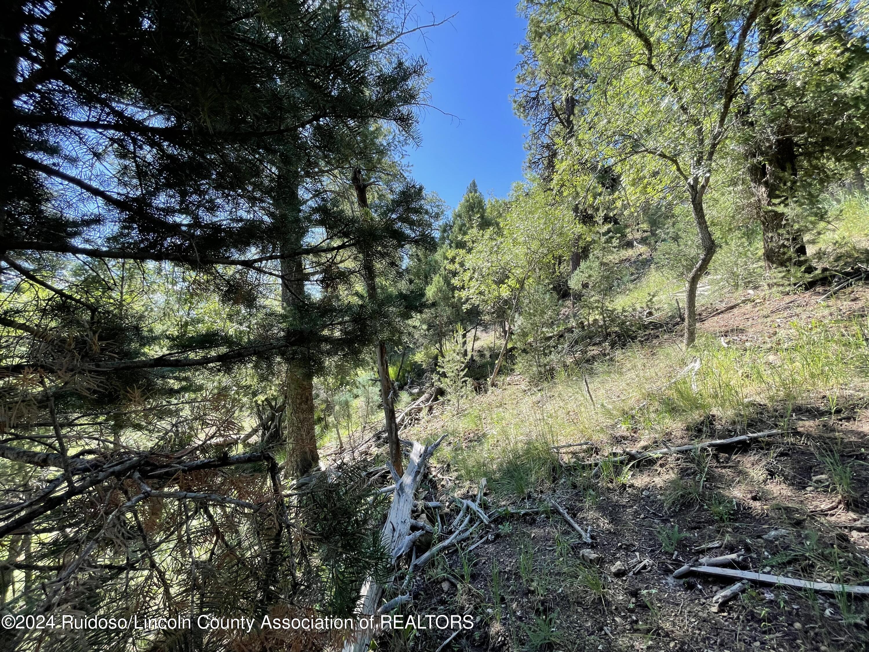 209 S Oak Drive, Ruidoso, New Mexico image 3