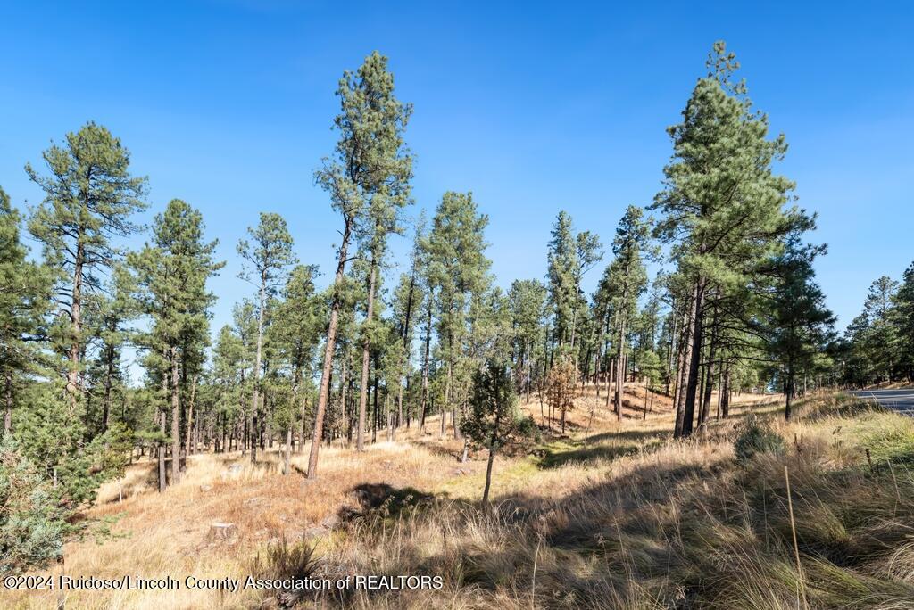 223 Hull Road, Ruidoso, New Mexico image 4