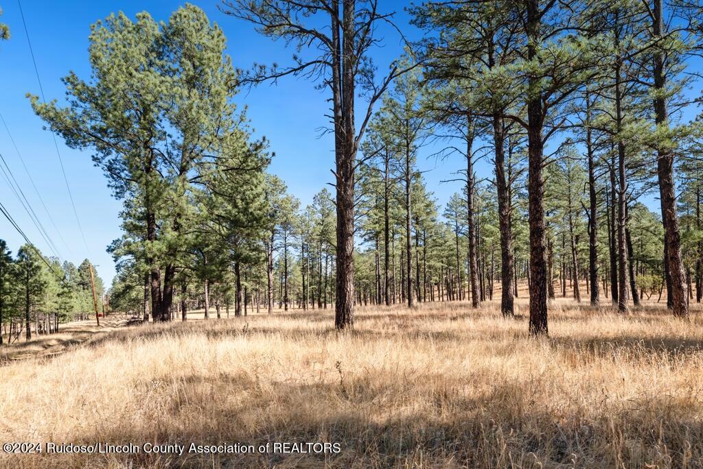 223 Hull Road, Ruidoso, New Mexico image 6