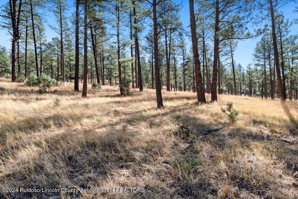 223 Hull Road, Ruidoso, New Mexico image 7