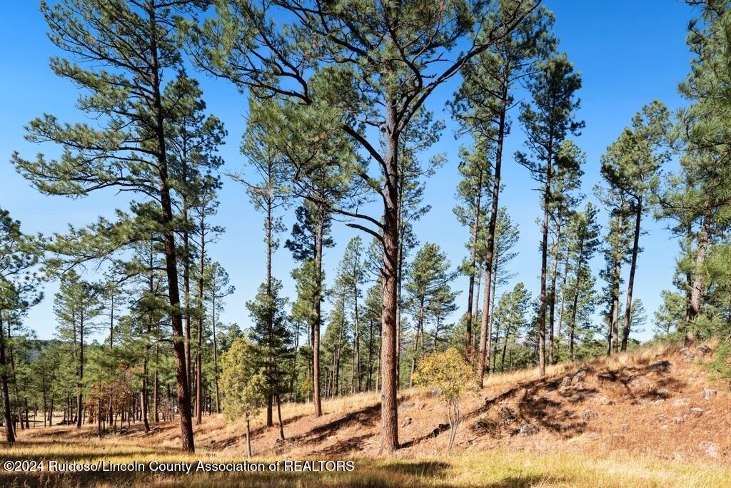 223 Hull Road, Ruidoso, New Mexico image 2