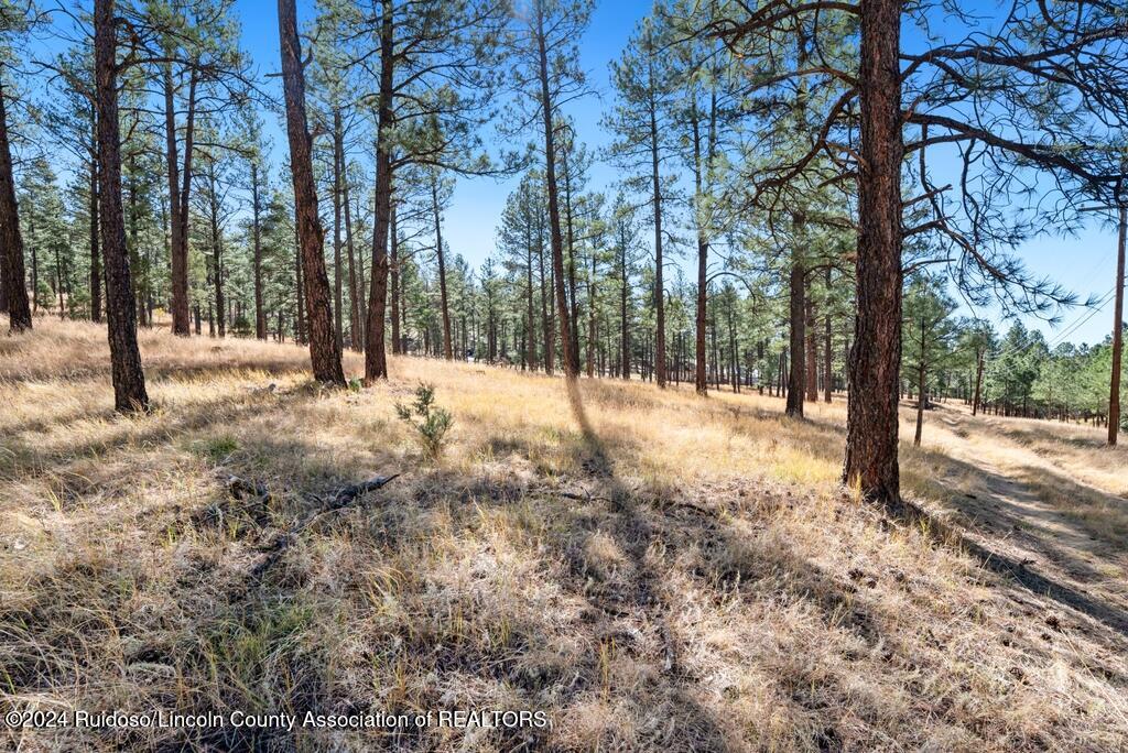 223 Hull Road, Ruidoso, New Mexico image 8