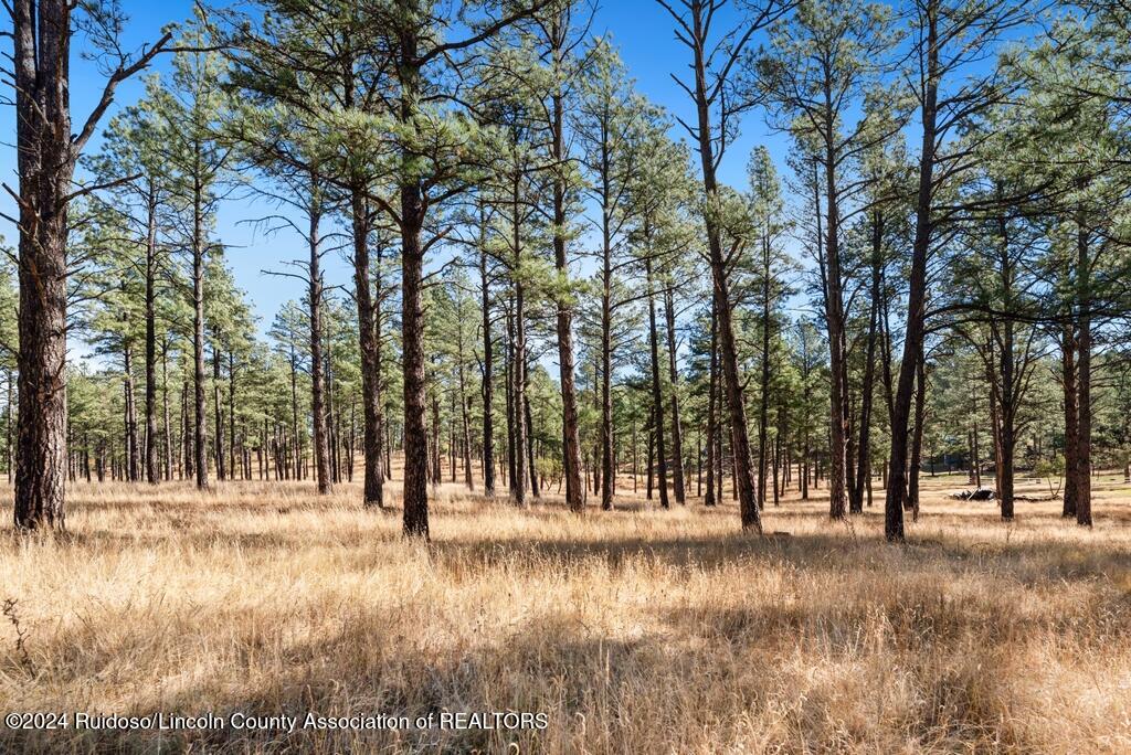 223 Hull Road, Ruidoso, New Mexico image 5