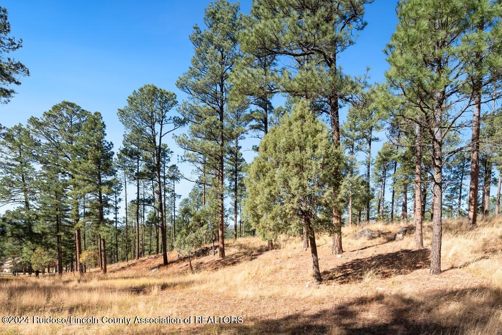 223 Hull Road, Ruidoso, New Mexico image 1