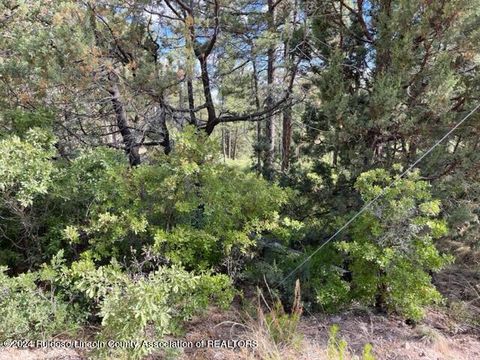 Vacant Land For Sale - LOT 236 Malory Drive<br/> Timberon, NM 88350