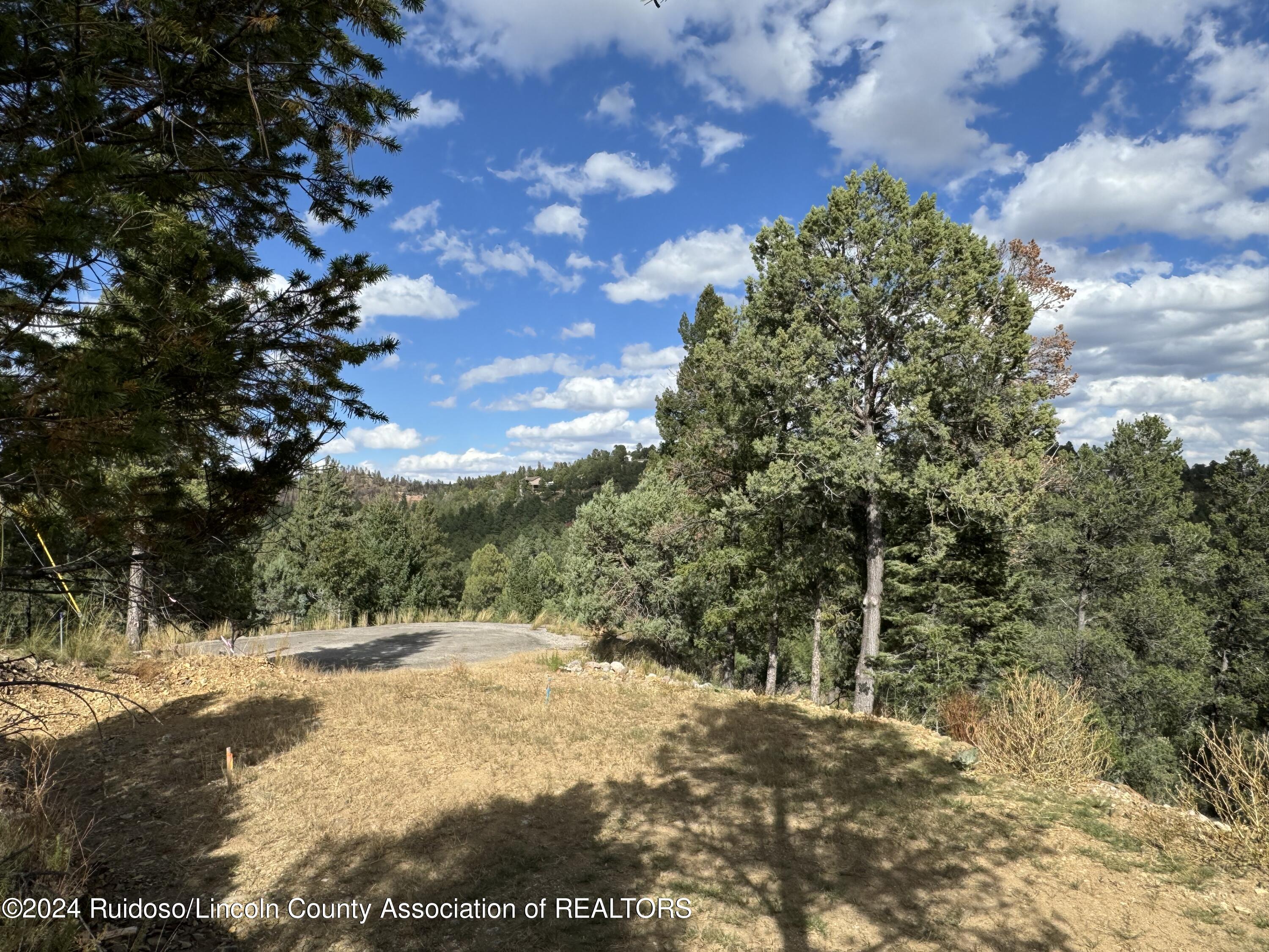 106 & 110 Nopal Lane, Ruidoso, New Mexico image 10