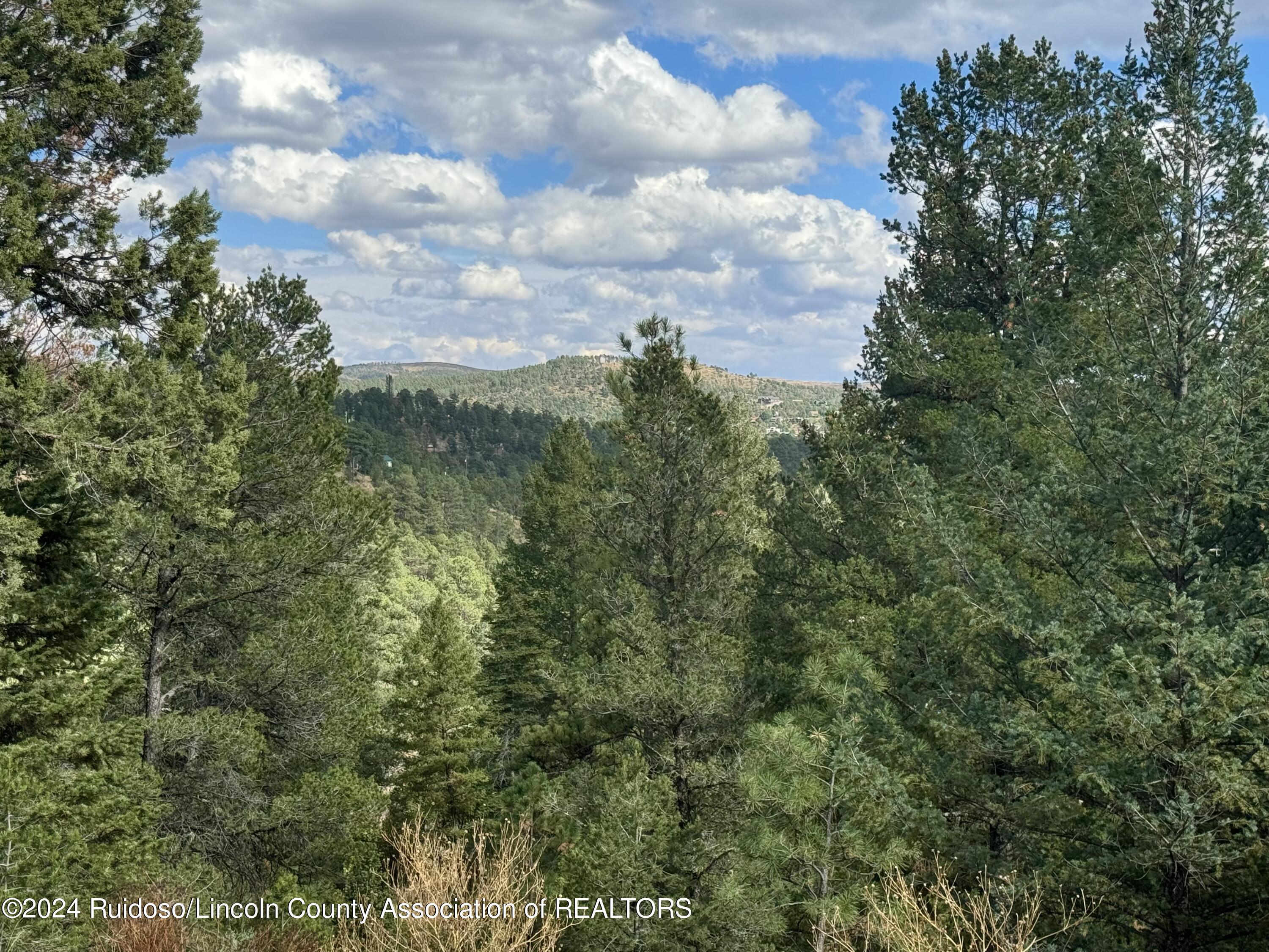 106 & 110 Nopal Lane, Ruidoso, New Mexico image 6