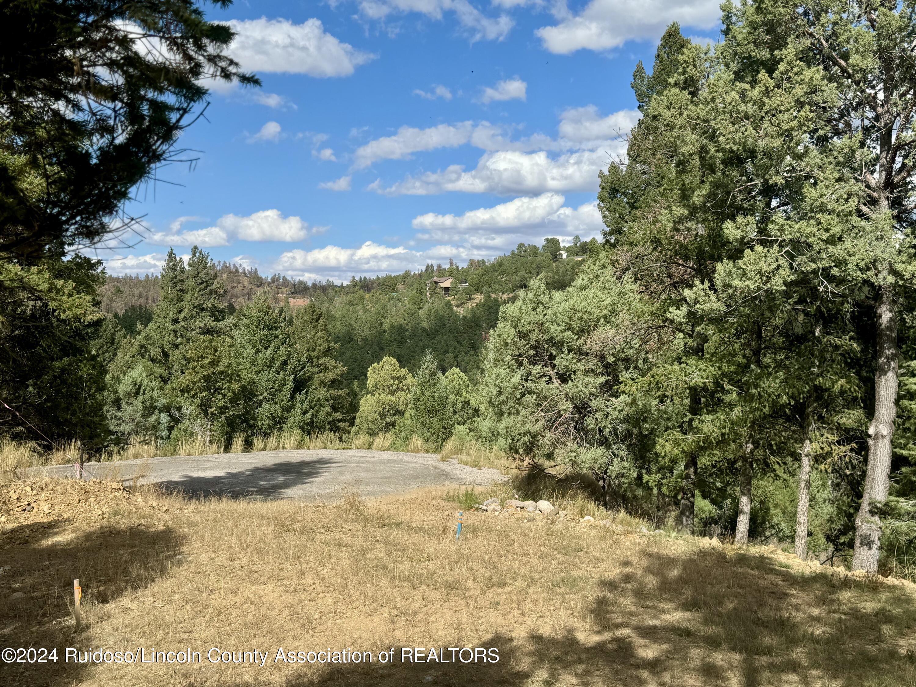 106 & 110 Nopal Lane, Ruidoso, New Mexico image 15