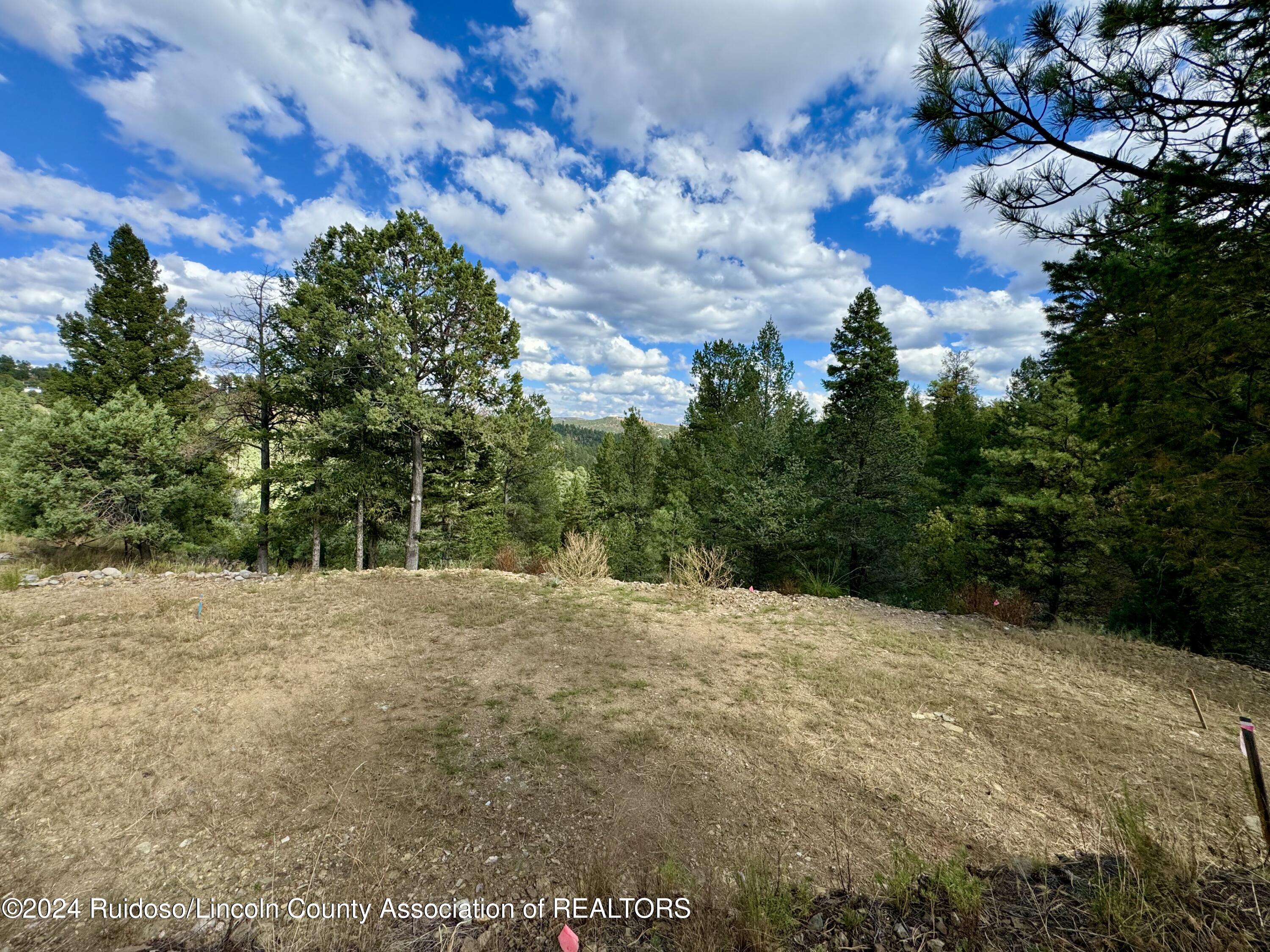 106 & 110 Nopal Lane, Ruidoso, New Mexico image 5