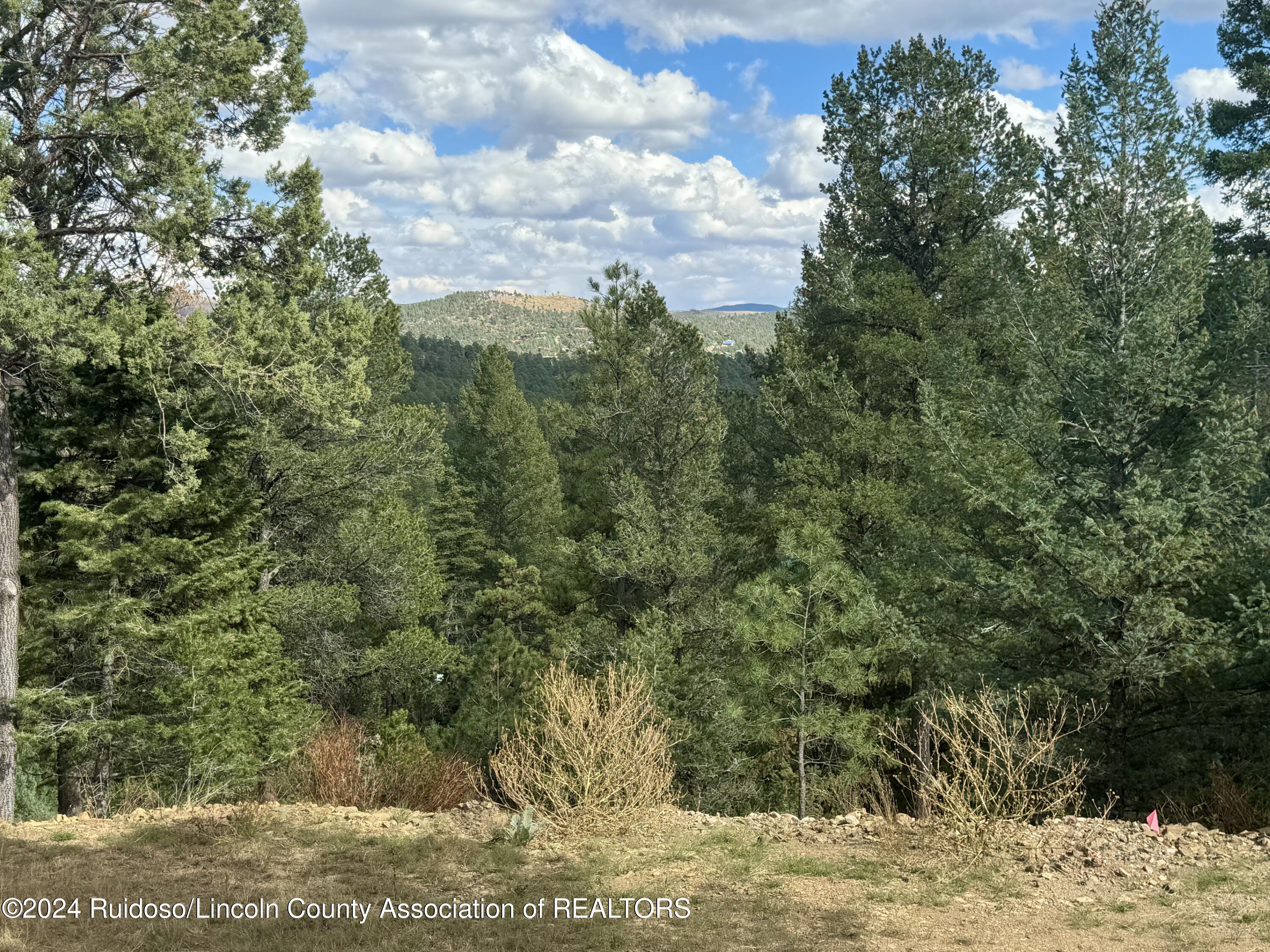 106 & 110 Nopal Lane, Ruidoso, New Mexico image 12