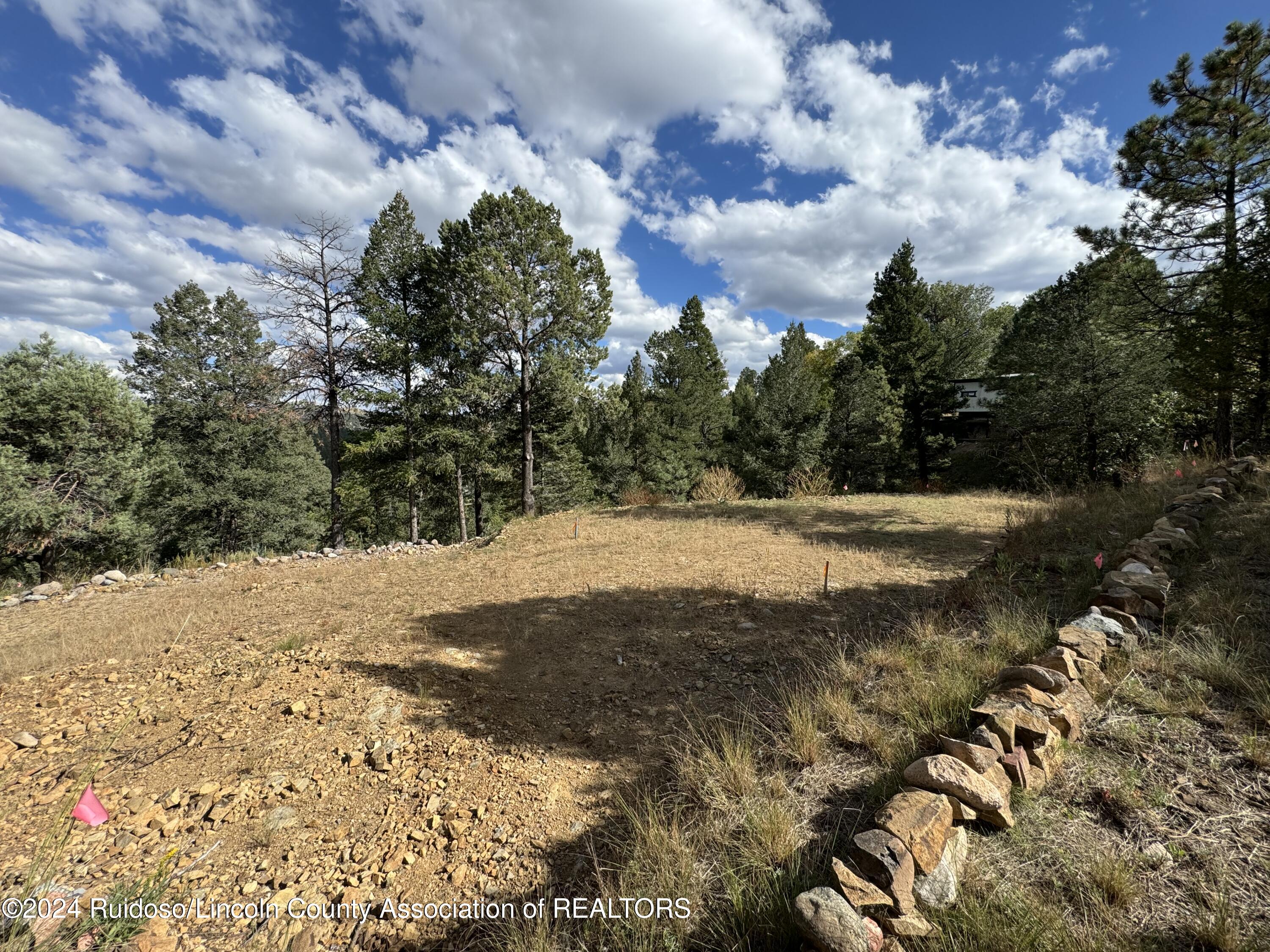 106 & 110 Nopal Lane, Ruidoso, New Mexico image 13